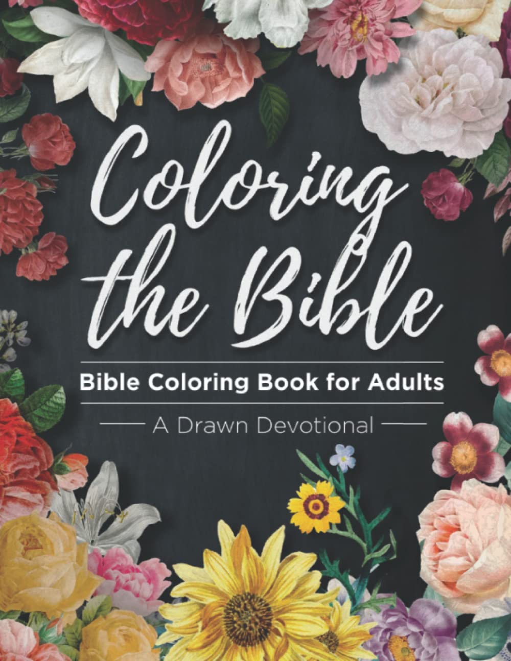 Coloring The Bible: Bible Coloring Book for Adults- a Drawn Devotional ...