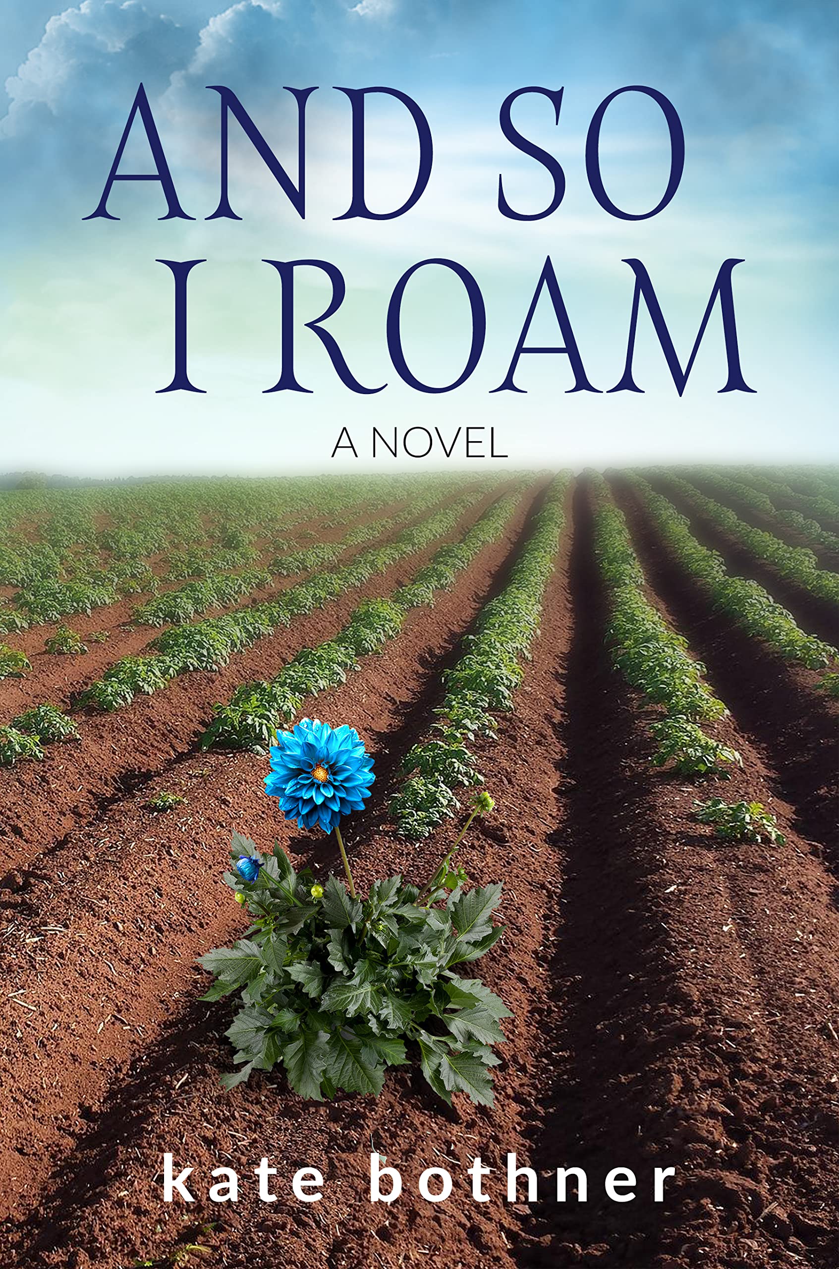 And So I Roam