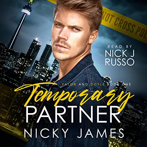 Temporary Partner (Valor and Doyle Mysteries #1)