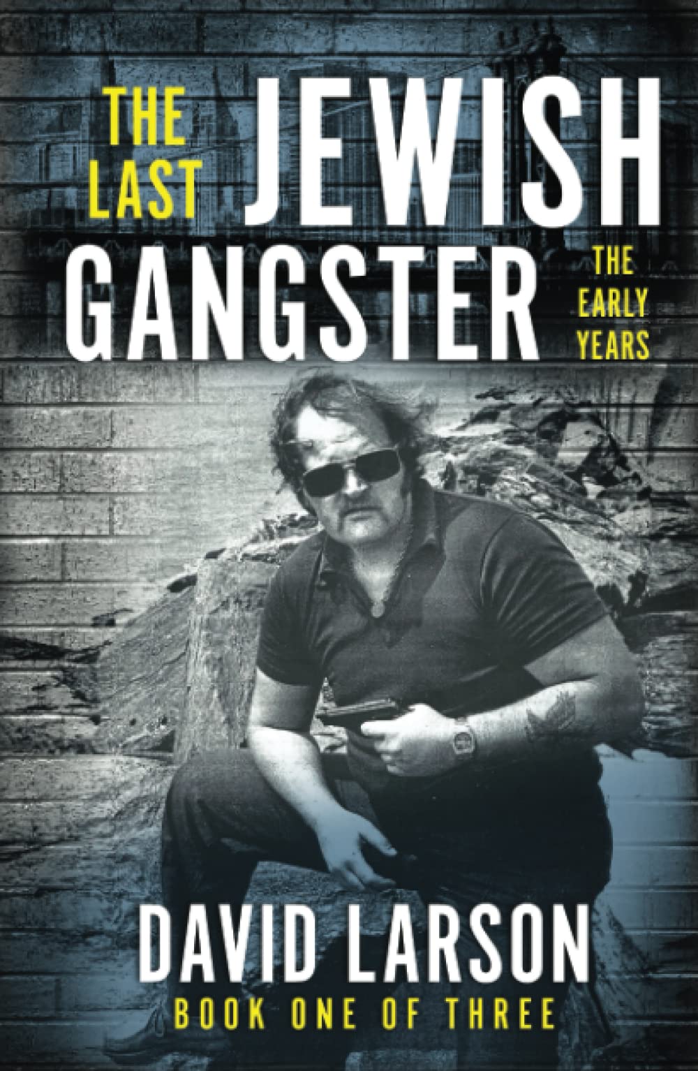 THE LAST JEWISH GANGSTER: The Early Years by David Larson | Goodreads