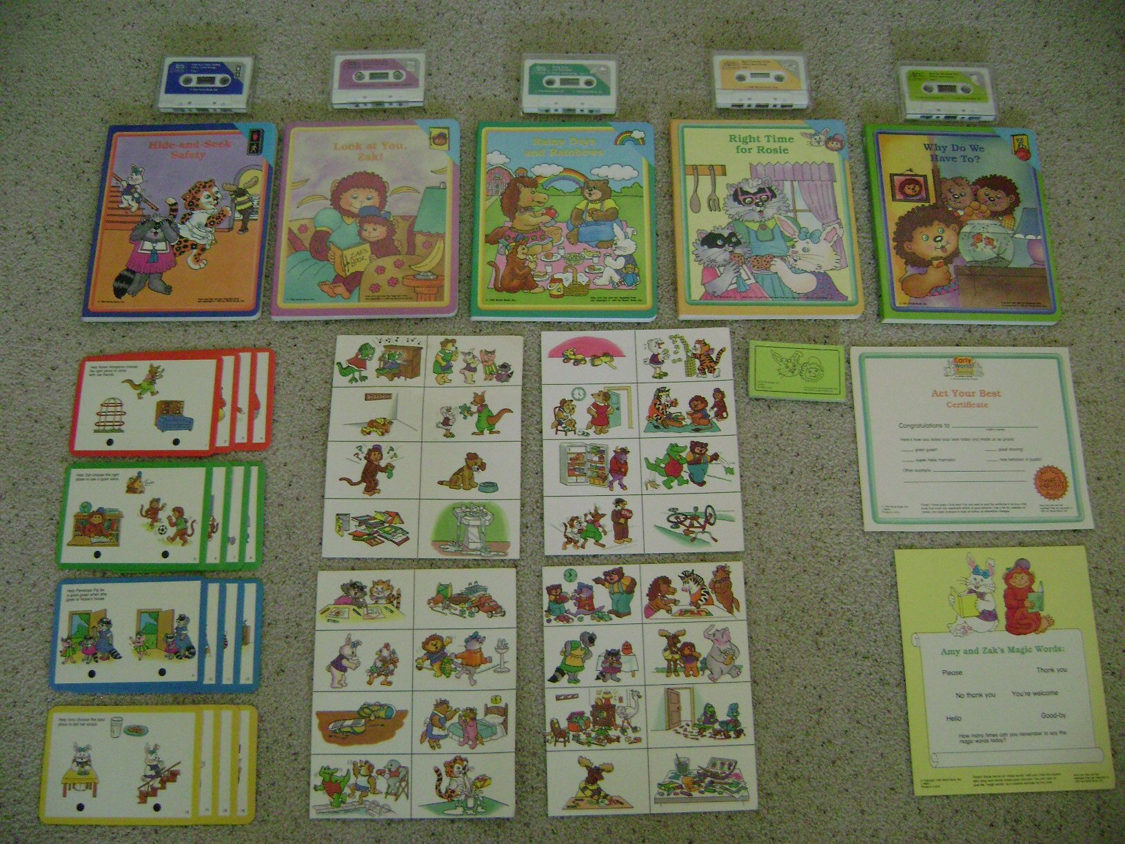 Why Do We Have To? Learning Why Do We Have to with the Alphabet Pals