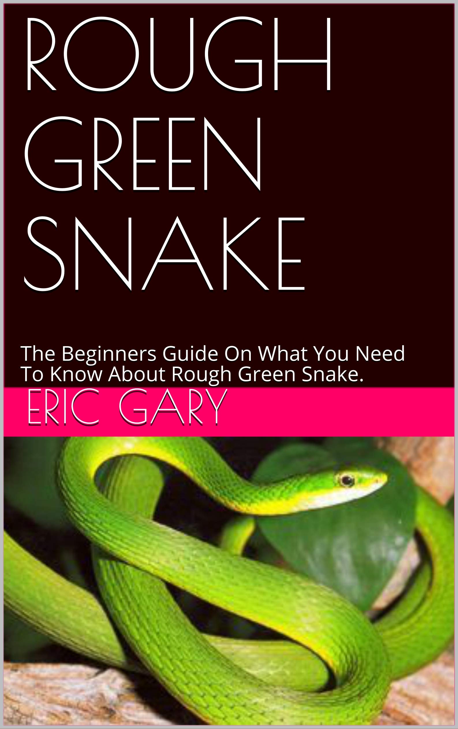 ROUGH GREEN SNAKE The Beginners Guide On What You Need To Know About