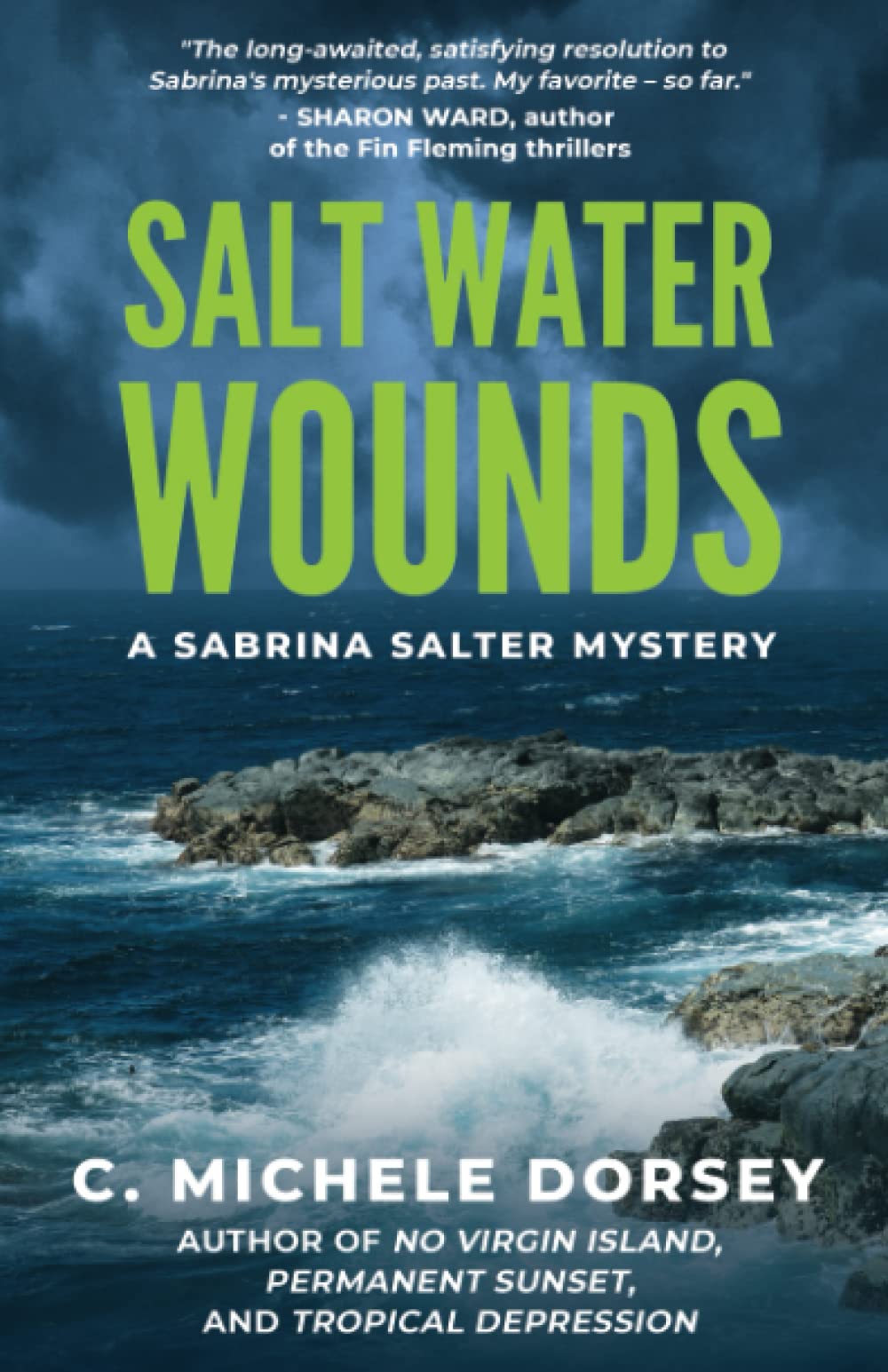 Salt Water Wounds A Sabrina Salter Mystery by C Michele Dorsey Goodreads