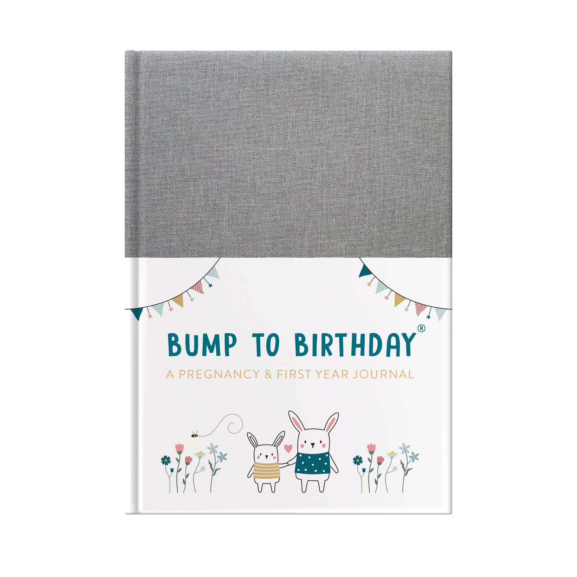 Bump To Birthday Pregnancy & First Year Journal (Foil And Fabric