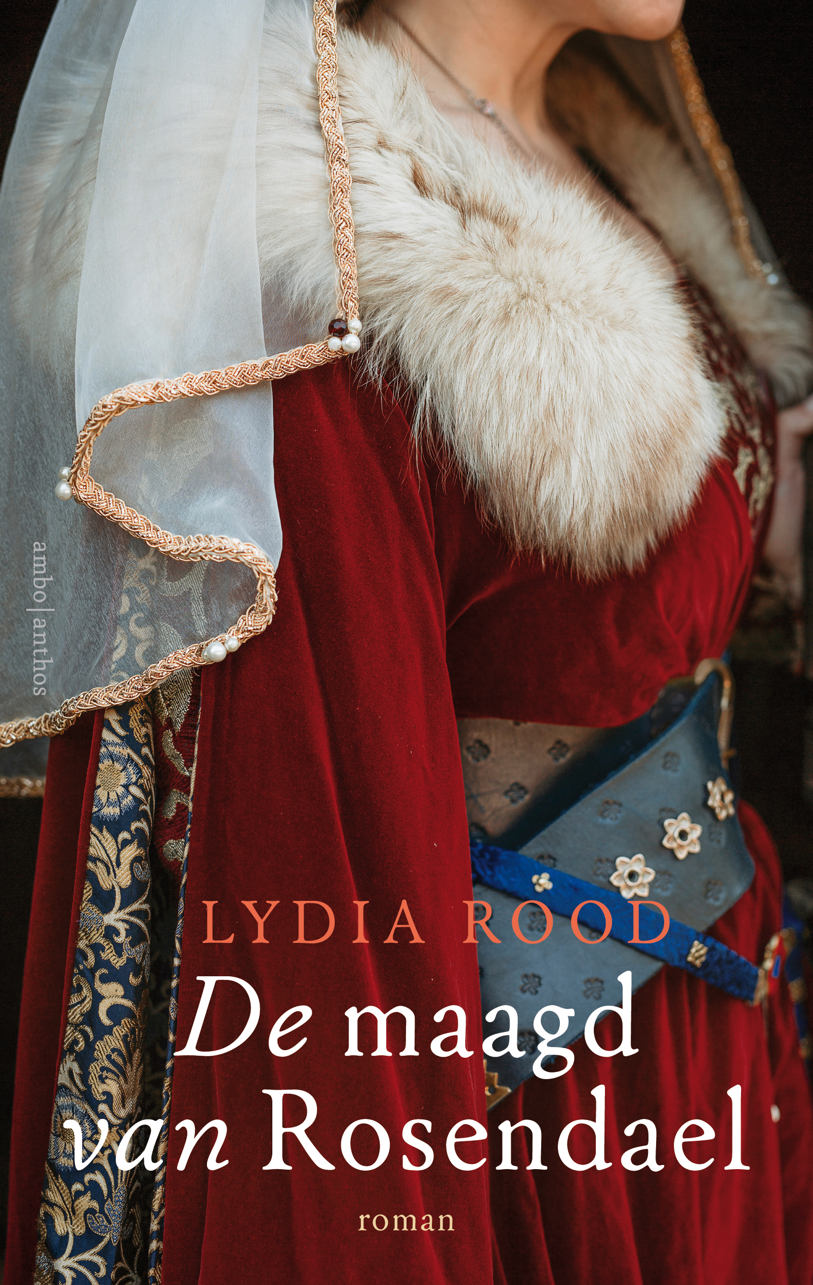 De maagd van Rosendael book cover