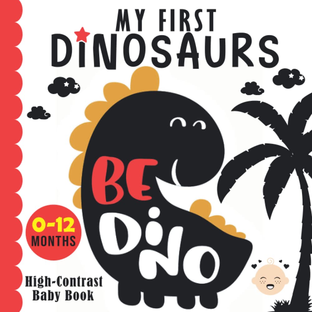 My First Dinosaurs HighContrast Book for Babies 012 Months Cute
