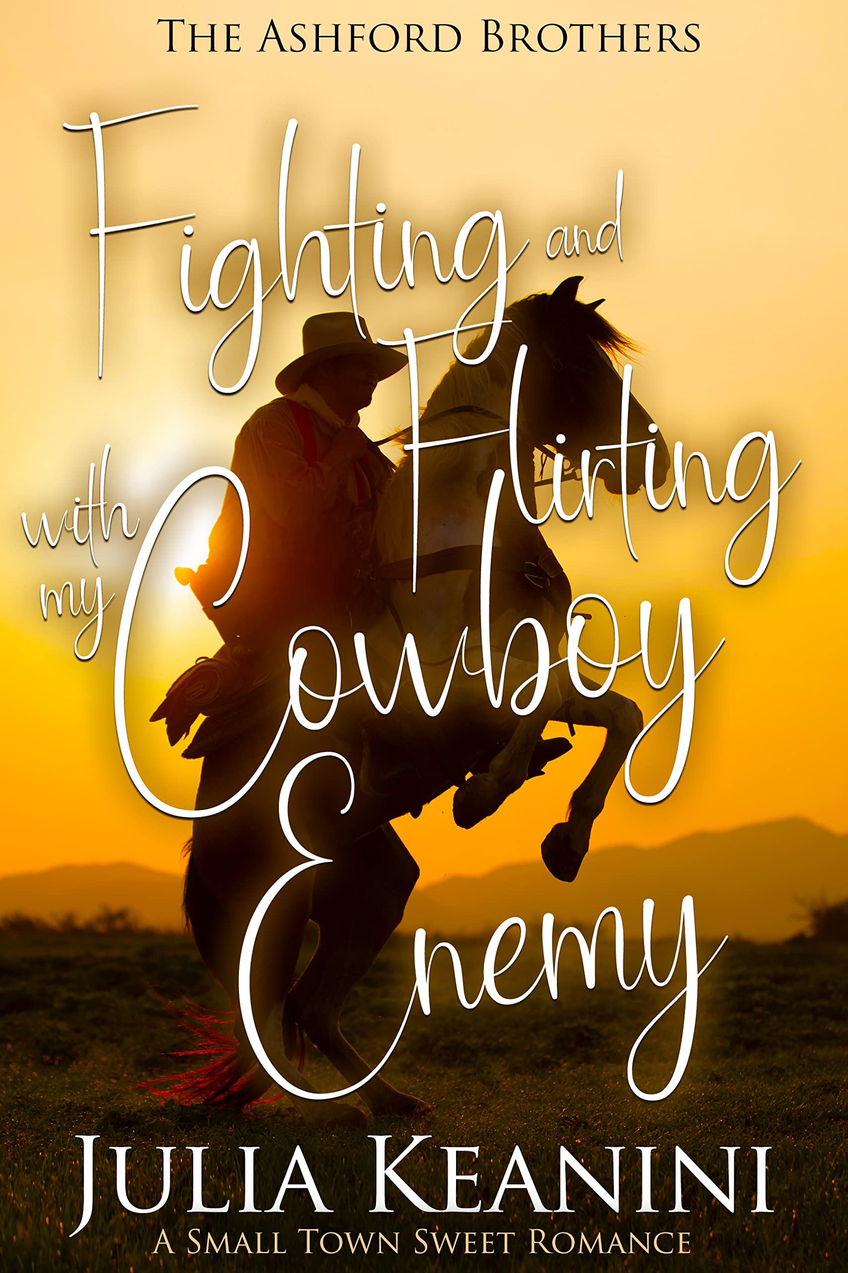 Fighting and Flirting with My Cowboy Enemy book cover