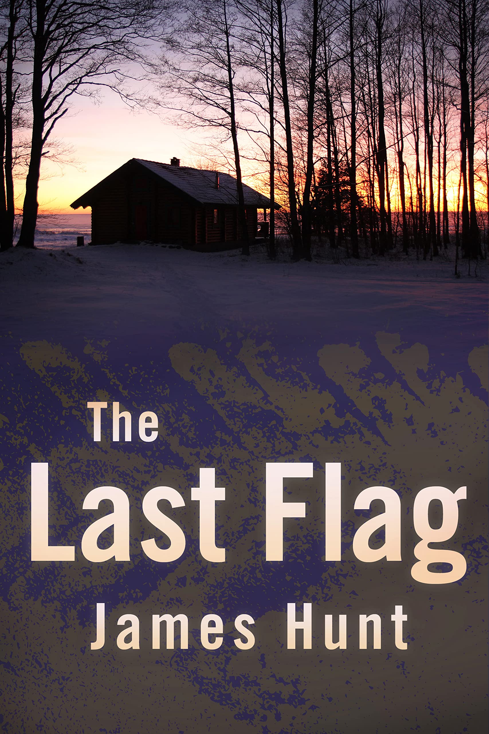The Last Flag book cover