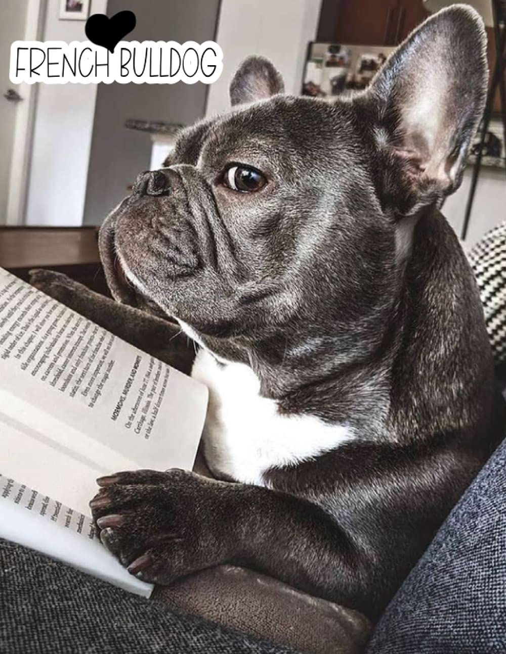 French Bulldog Day Planner Gift Gift For French Bulldog Owners Large Size 8.5x11 120 Pages