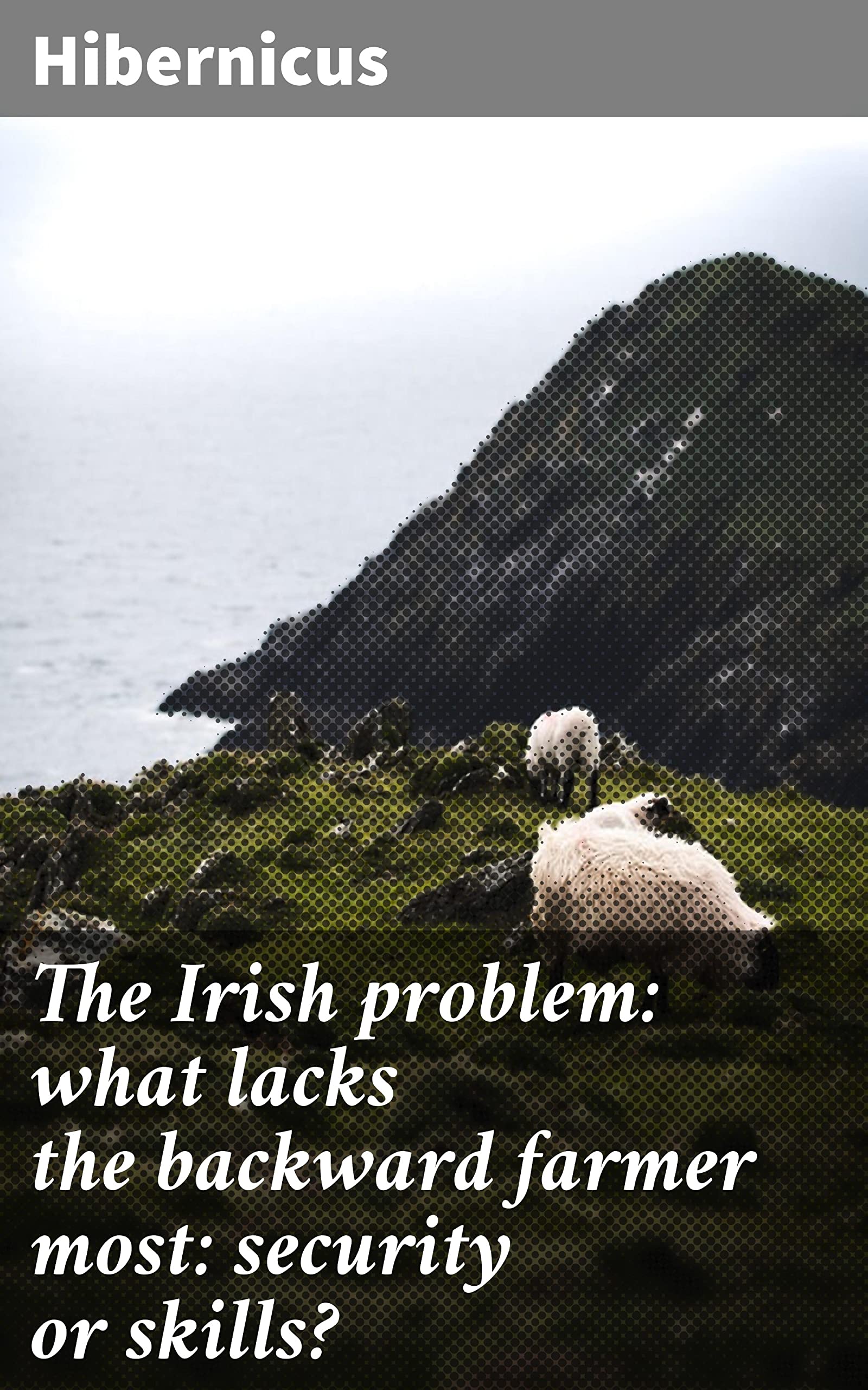 The Irish problem what lacks the backward farmer most security or skills? by Hibernicus