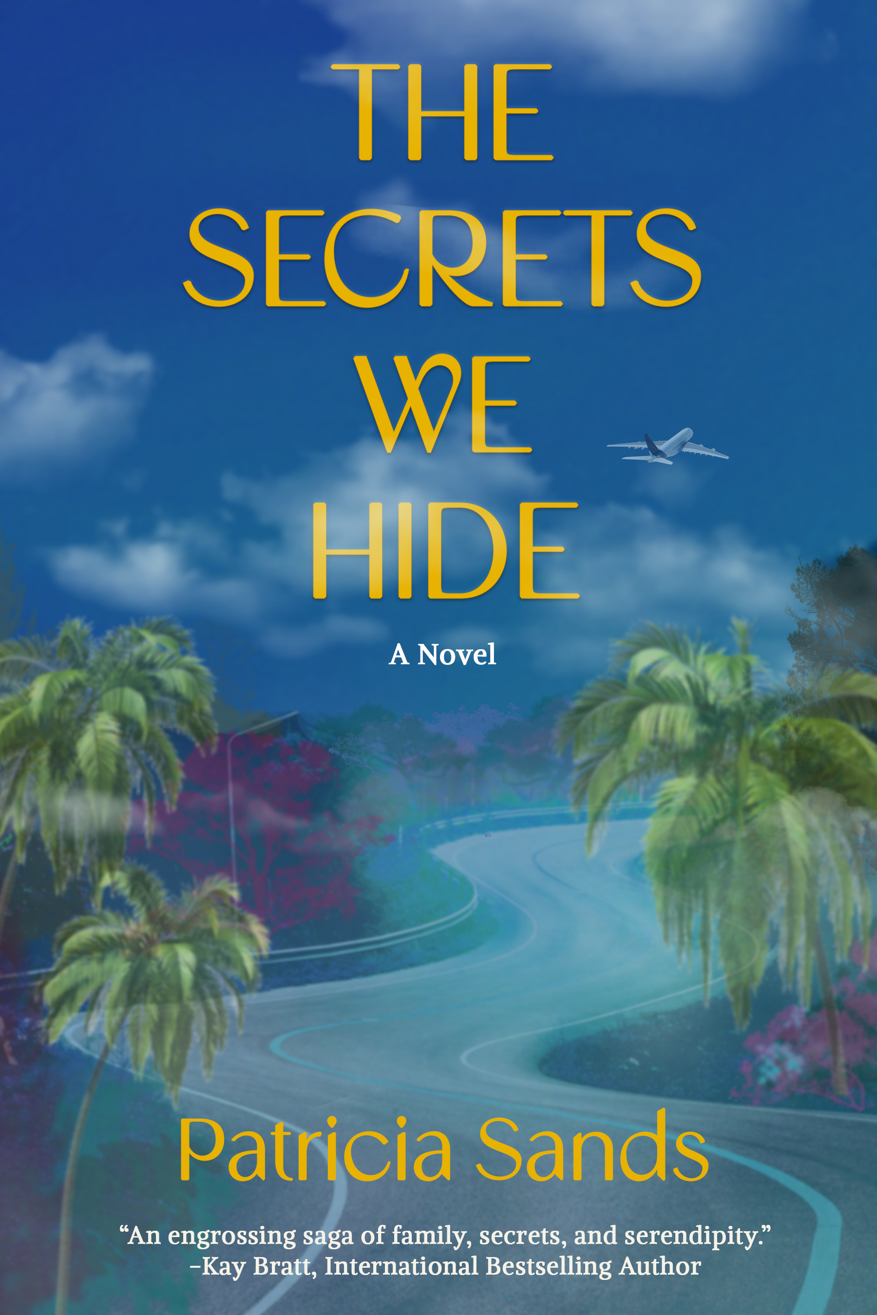 The Secrets We Hide book cover