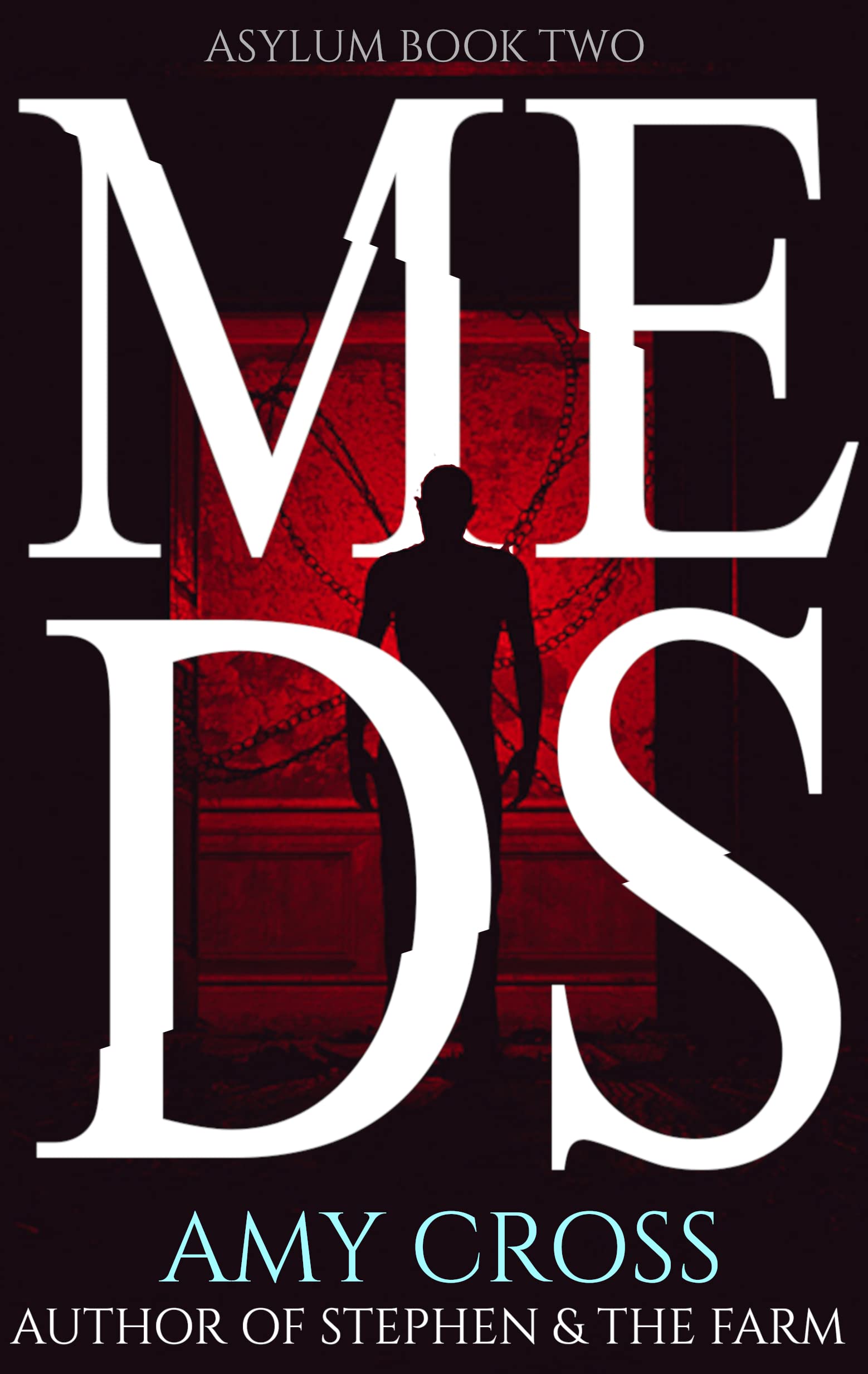 Meds book cover
