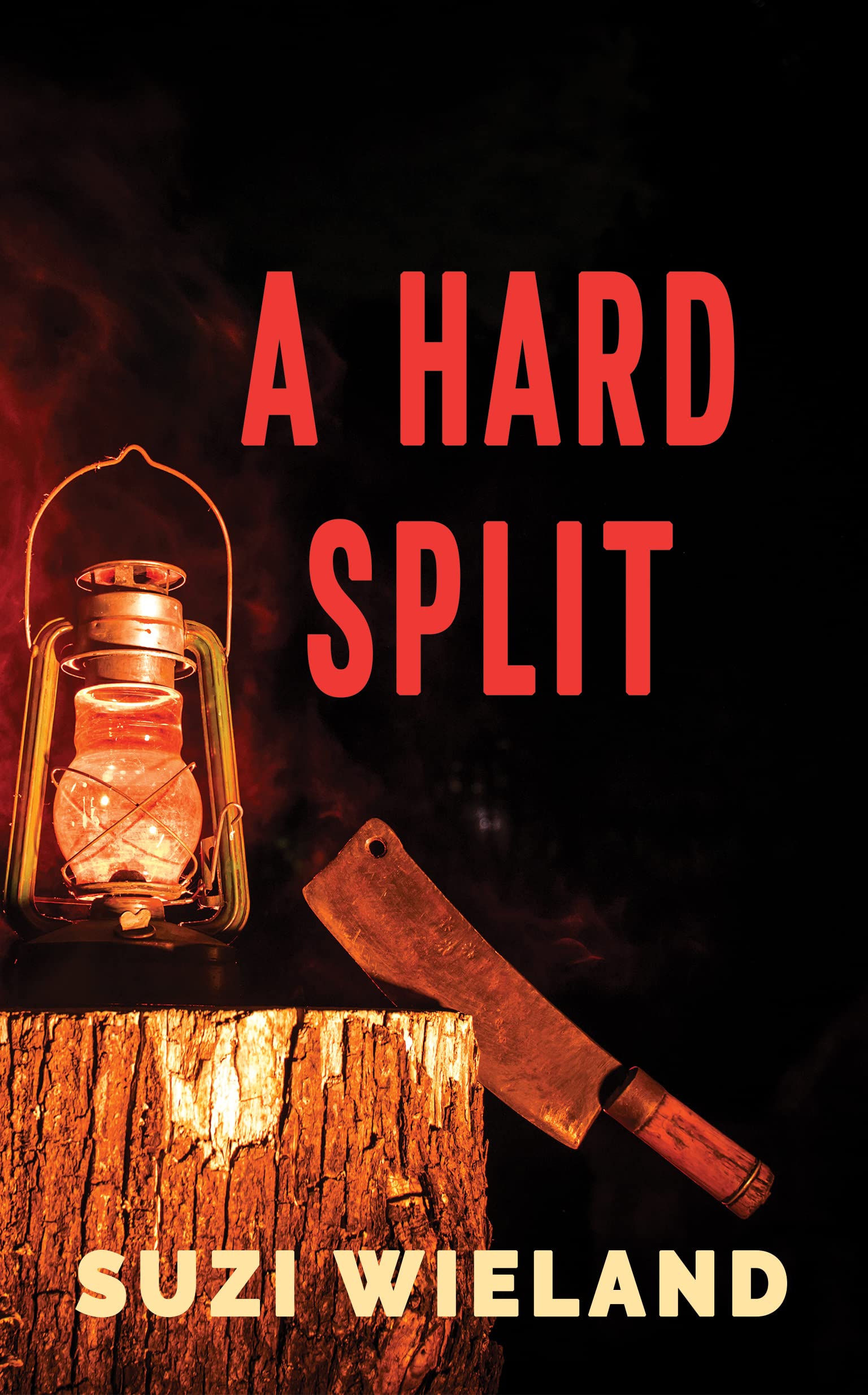 A Hard Split: A Twisted Twins Story