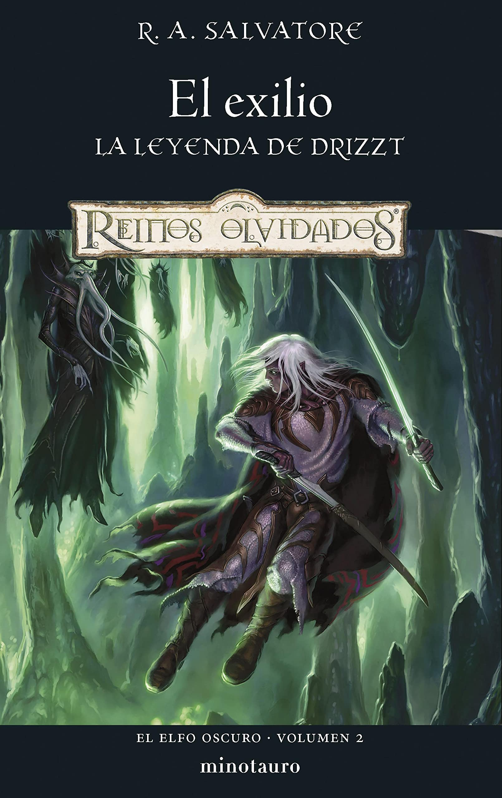 Elfo Oscuro nº 02/03 El exilio (El Elfo Oscuro) by R.A. Salvatore