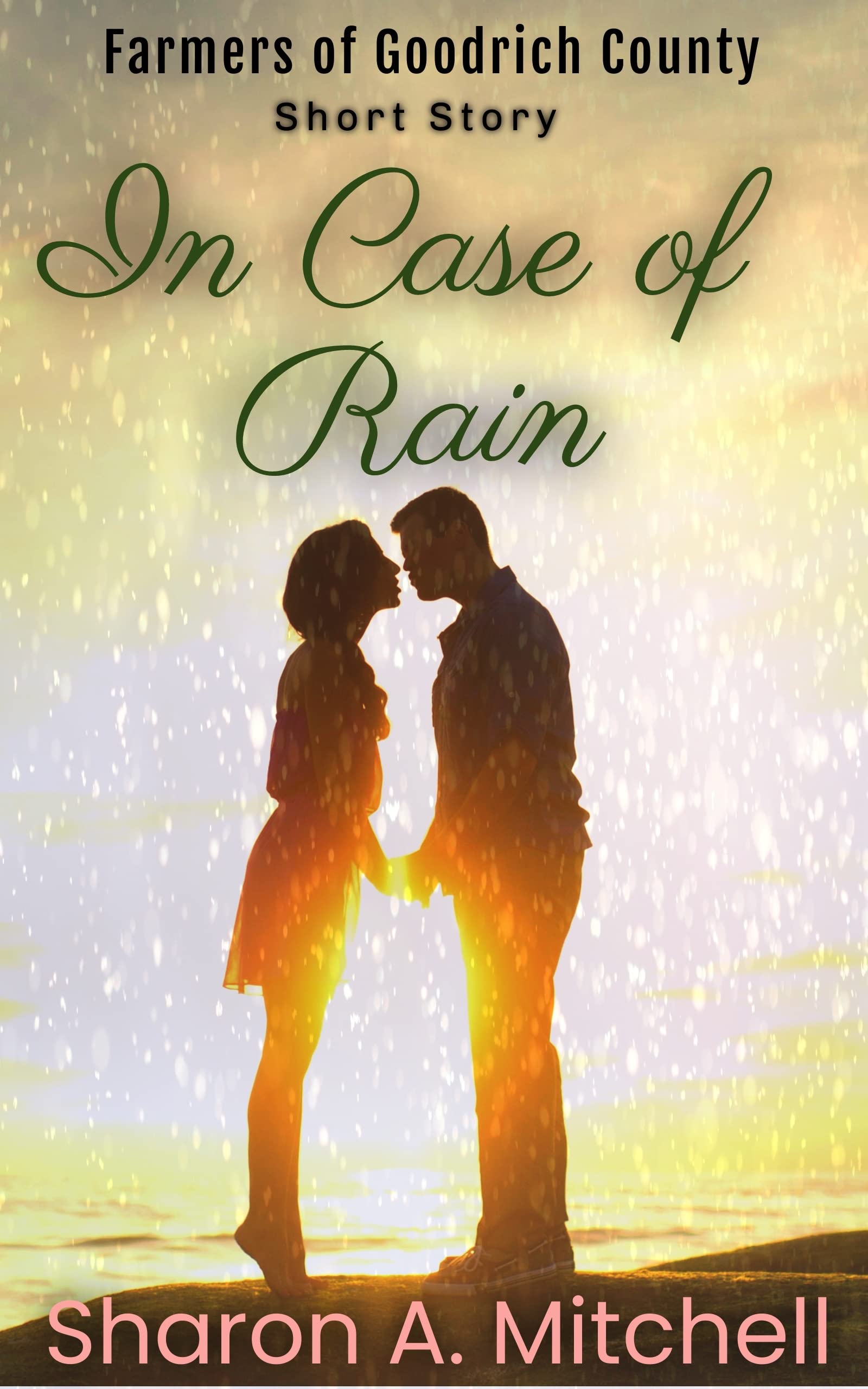 In Case of Rain book cover