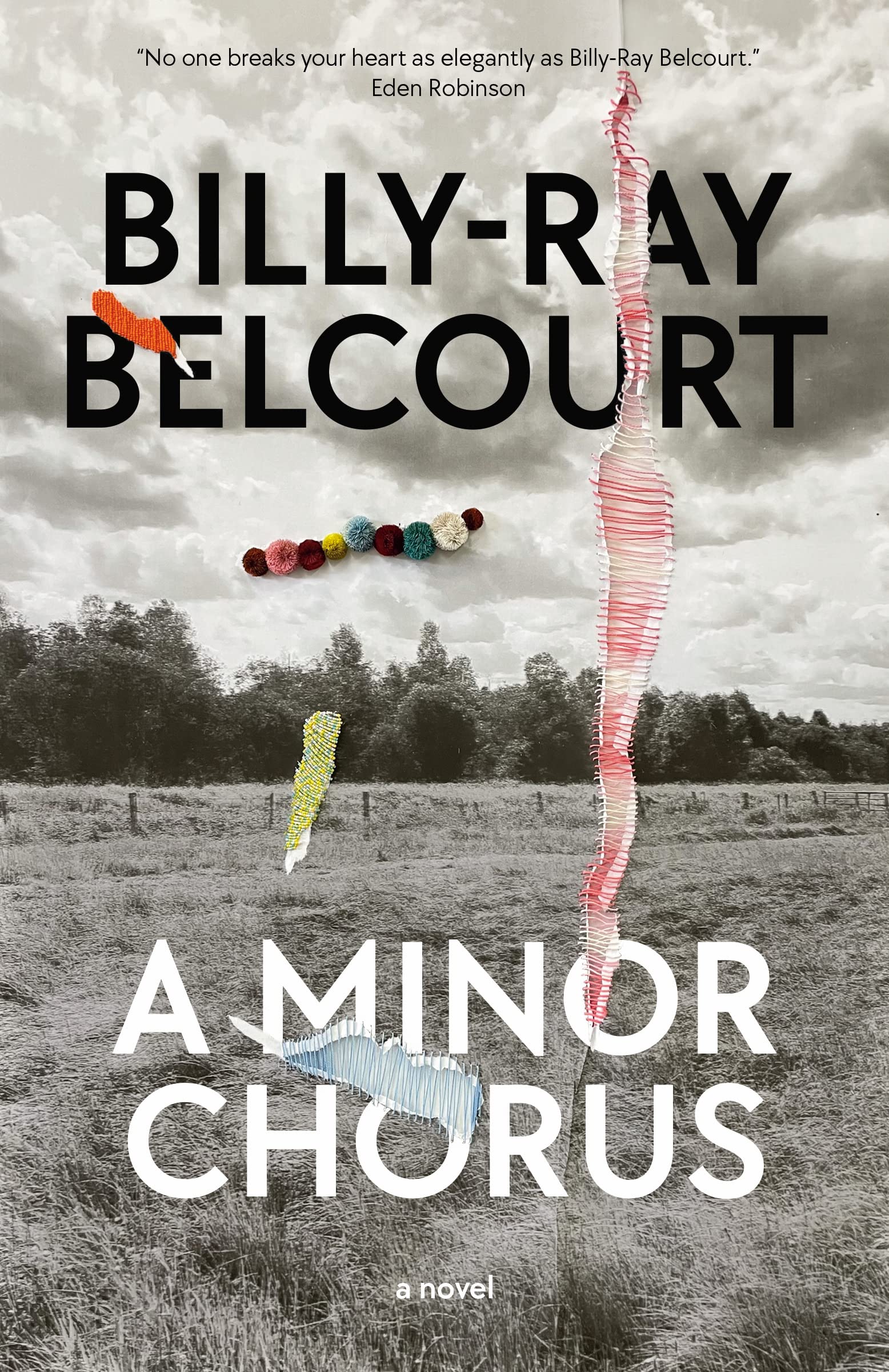 A Minor Chorus: A Novel