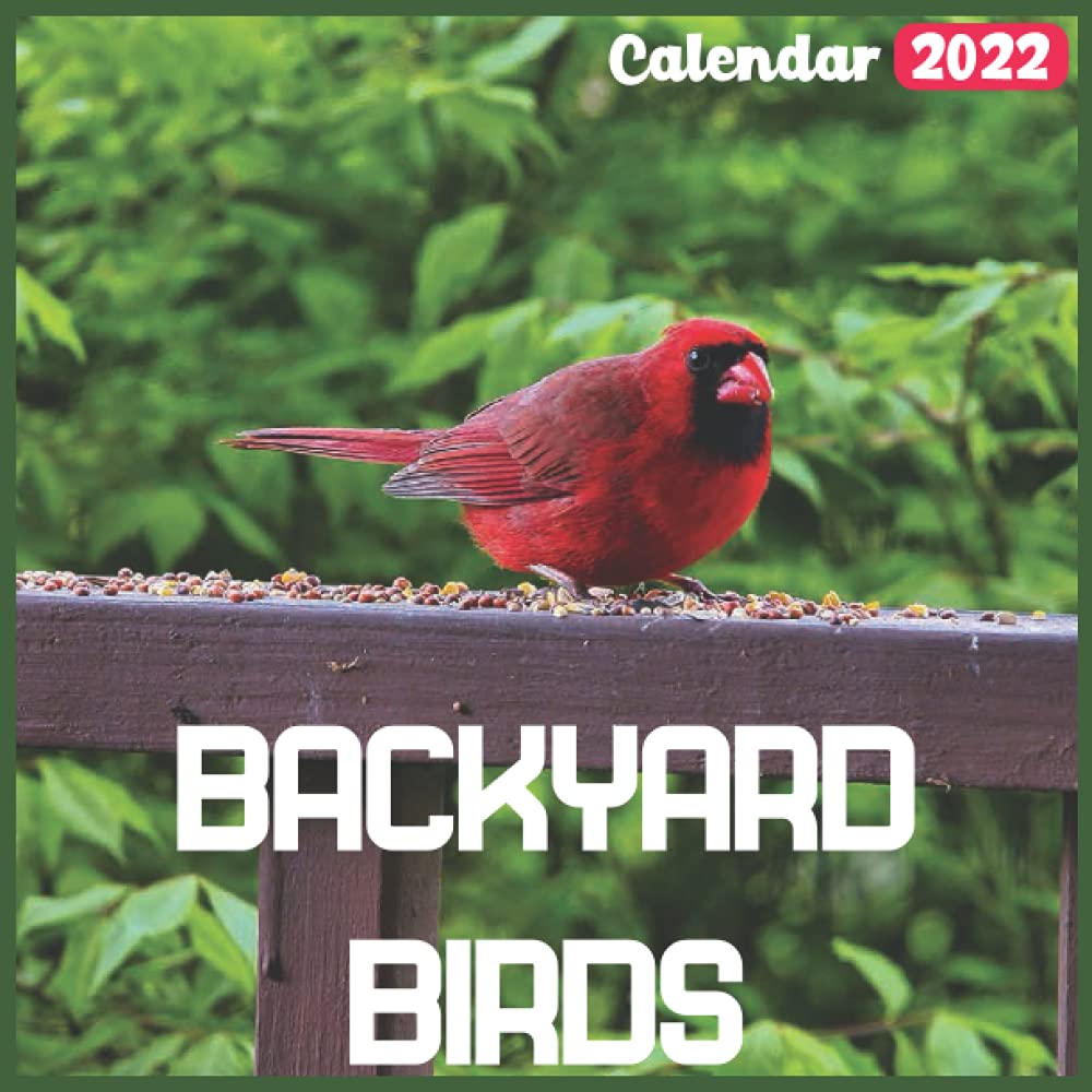 backyard-birds-calendar-2022-official-bears-calendar-2022-18-month