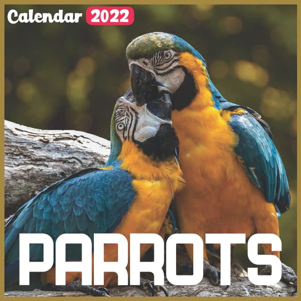 parrots-calendar-2022-official-bears-calendar-2022-18-month-photo-of