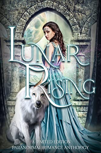 Lunar Rising book cover