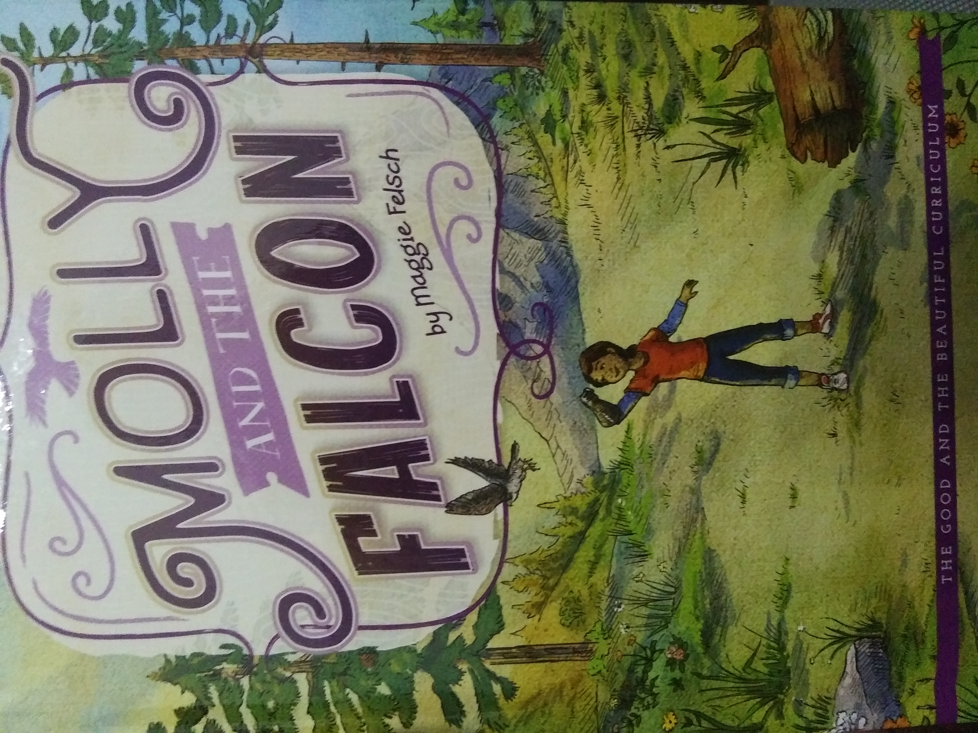 Molly and the Falcon