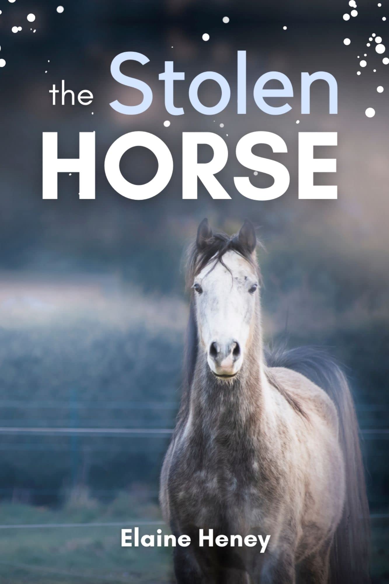 The Stolen Horse - Book 4 in the Connemara Horse Adventure Series for Kids | The Perfect Gift for Children age 8-12