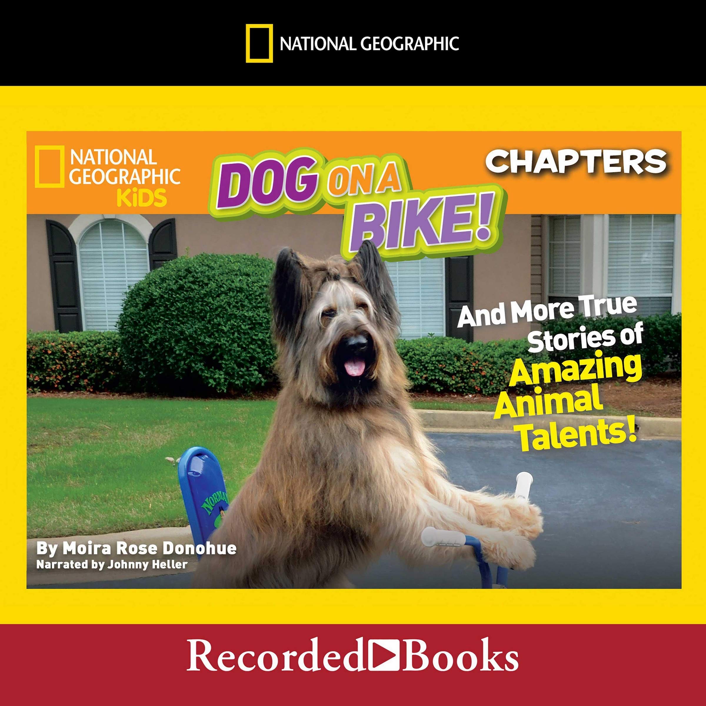 National Geographic Kids Chapters Dog on a Bike And More True Stories