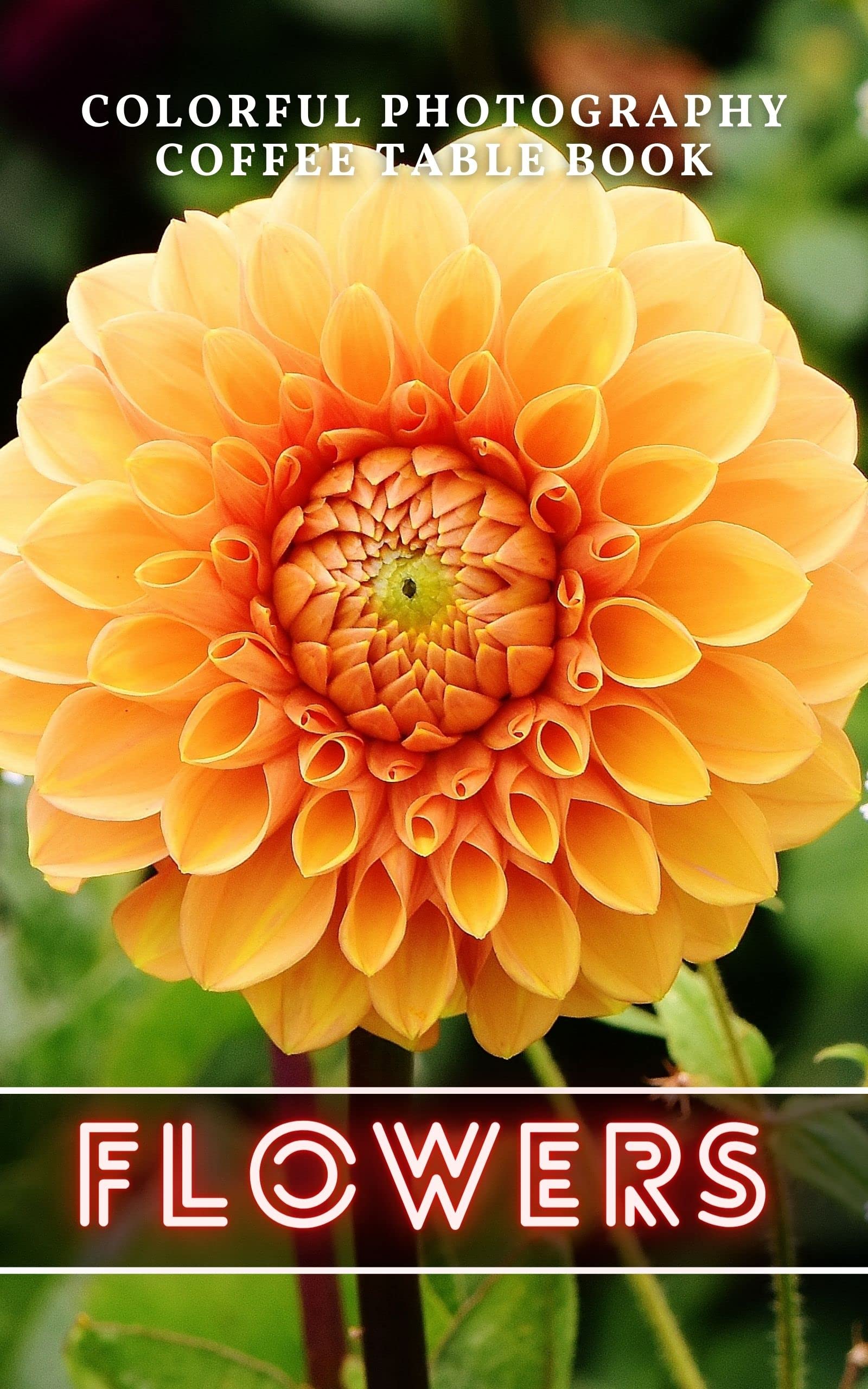 The Most Beautiful Flowers Gift book for Alzheimer's patients and the