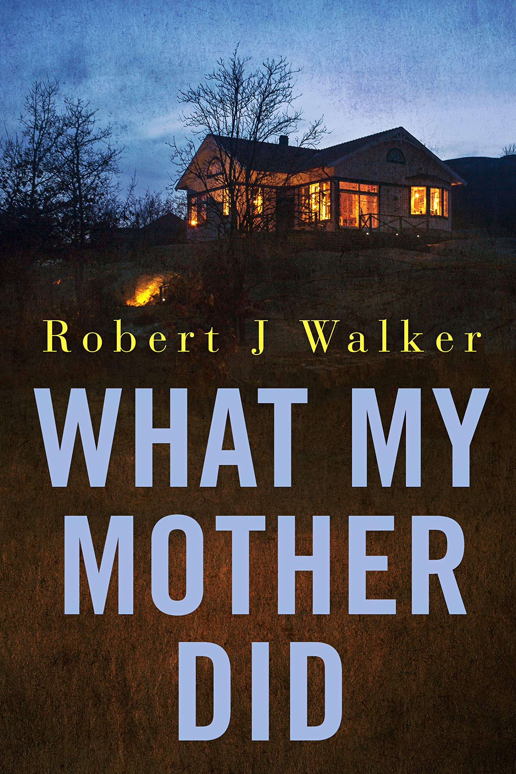 What My Mother Did book cover