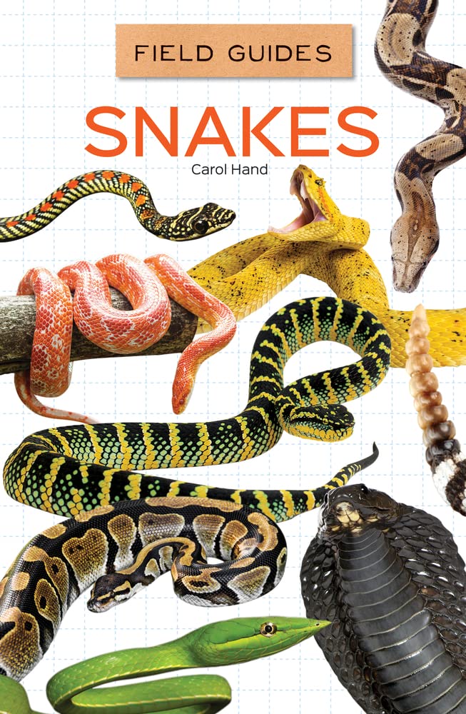Snakes (Field Guides Set 3) by Carol Hand | Goodreads