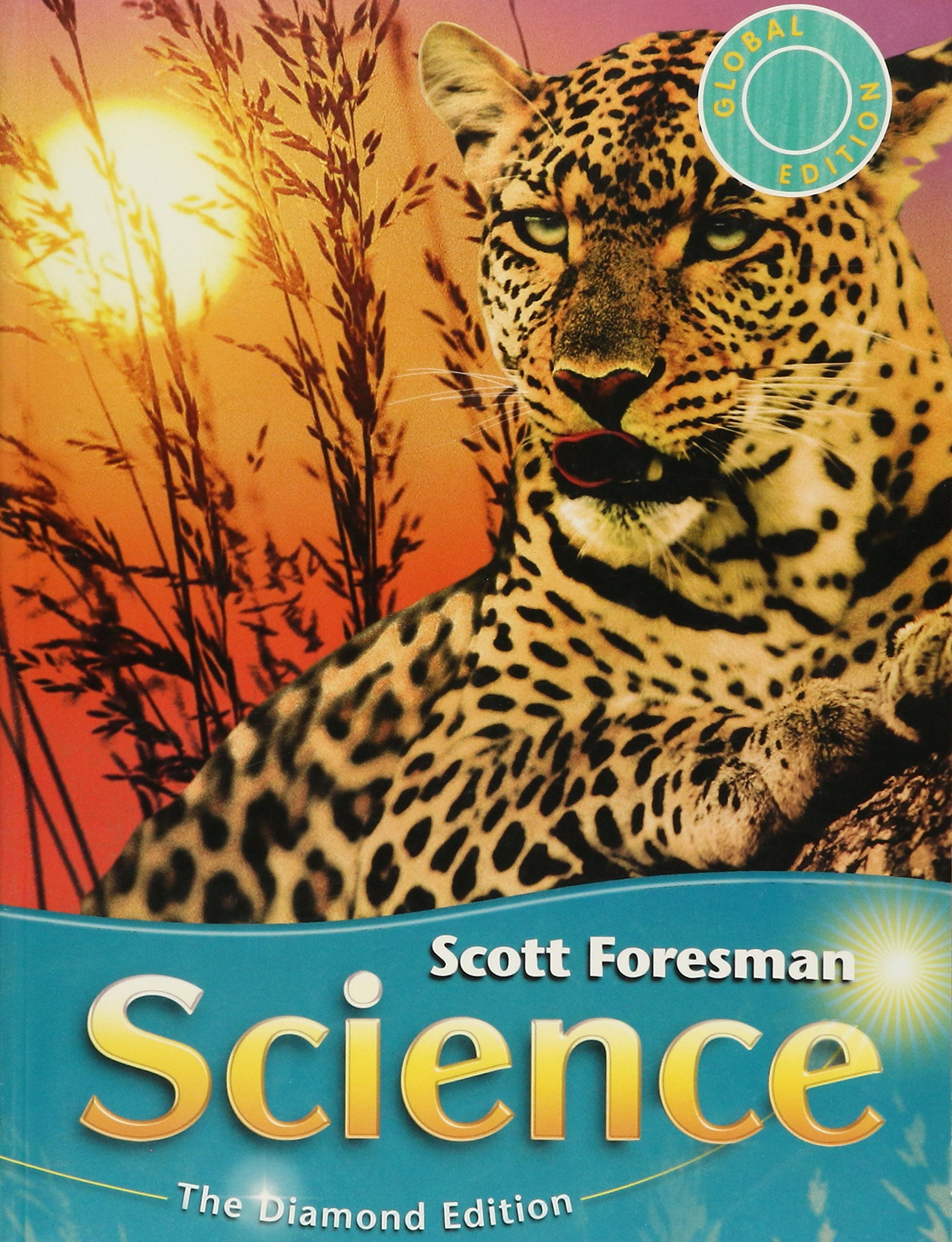 SCOTT FORESMAN SCIENCE GRADE 6 INTERNATIONAL EDITION By Timothy Scott foresman science grade 6 international edition by timothy