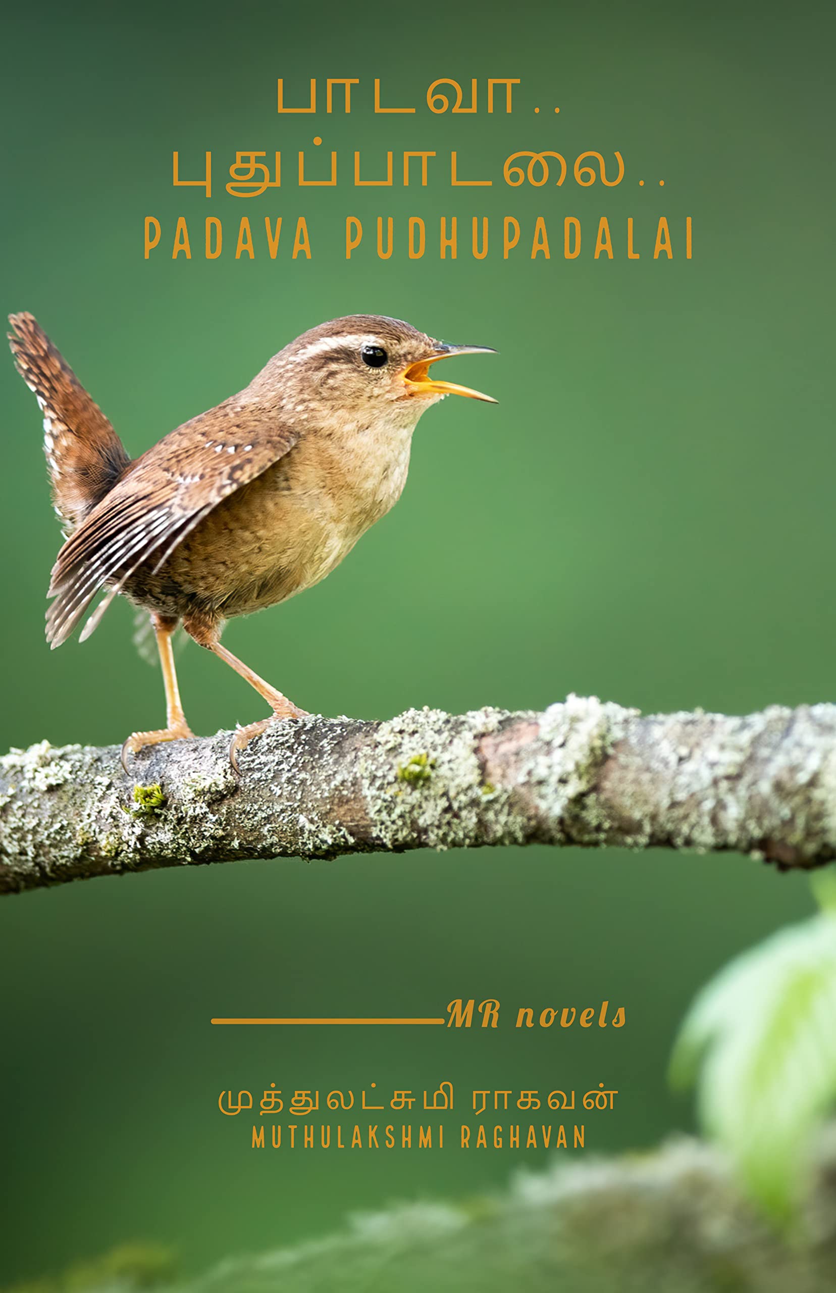 பாடவா.. புதுப்பாடலை..: Padava Pudhupadalai