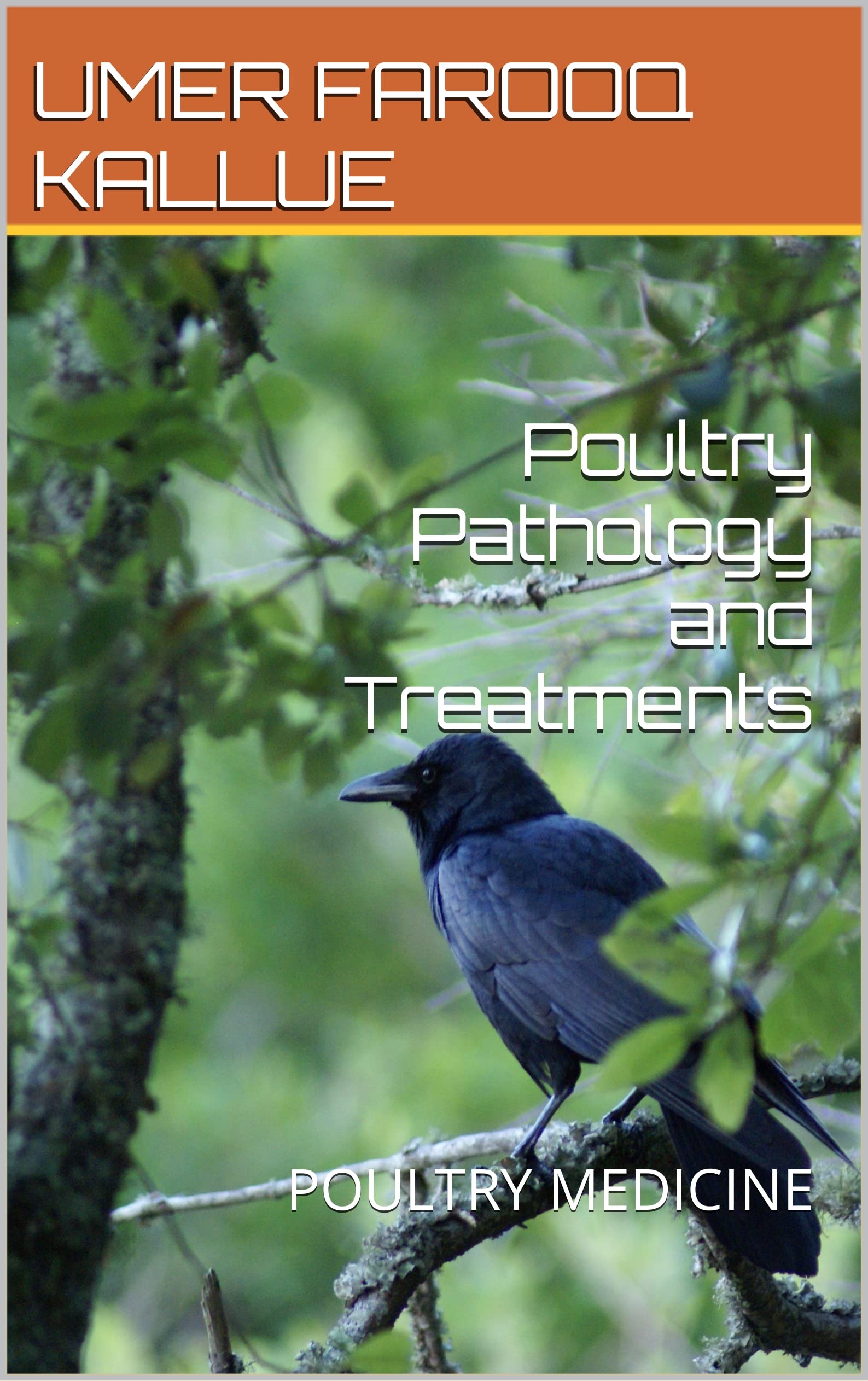 poultry-pathology-and-treatments-poultry-medicine-by-umer-farooq