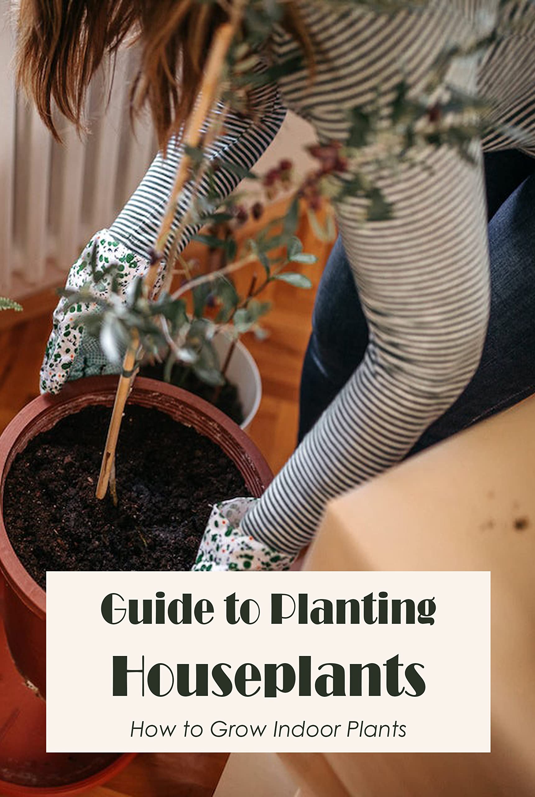 Guide to Planting Houseplants How to Grow Indoor Plants by Jared
