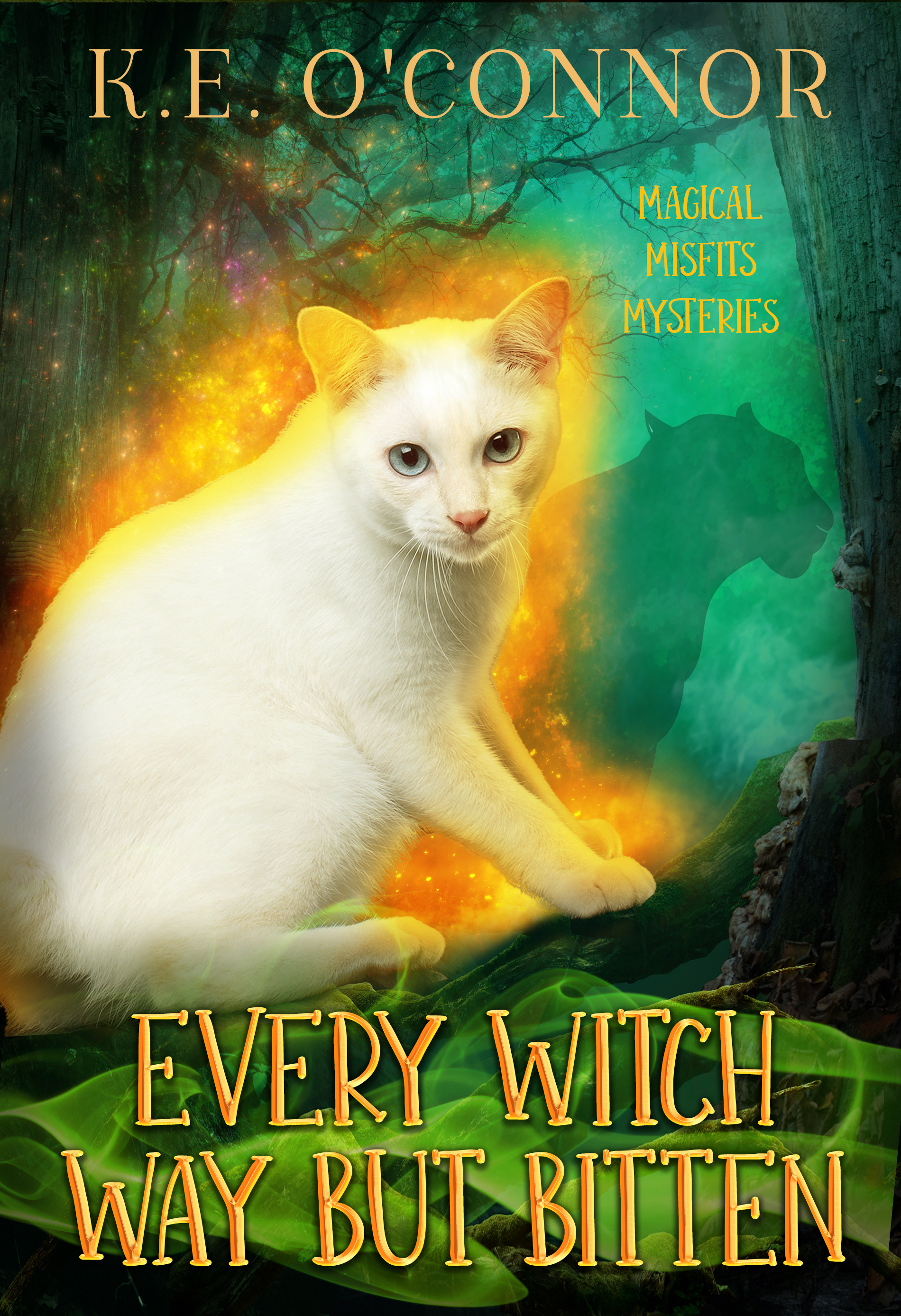 Magical Misfits Mysteries book cover 3