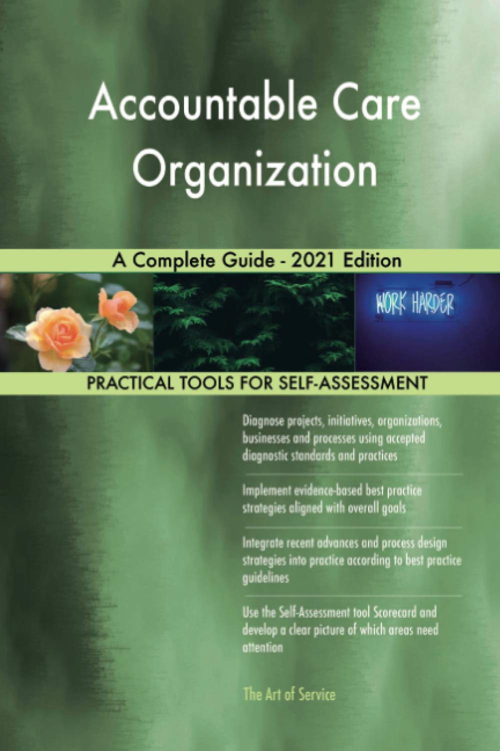 Accountable Care Organization A Complete Guide 2021 Edition by The