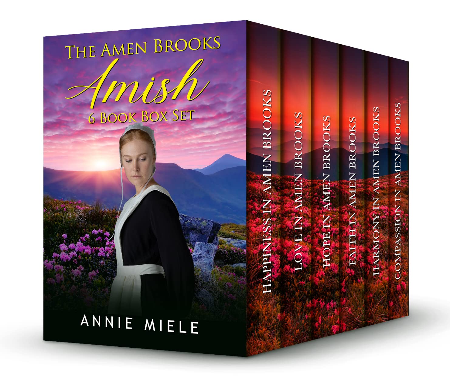 The Amen Brooks Amish 6 Book Box Set