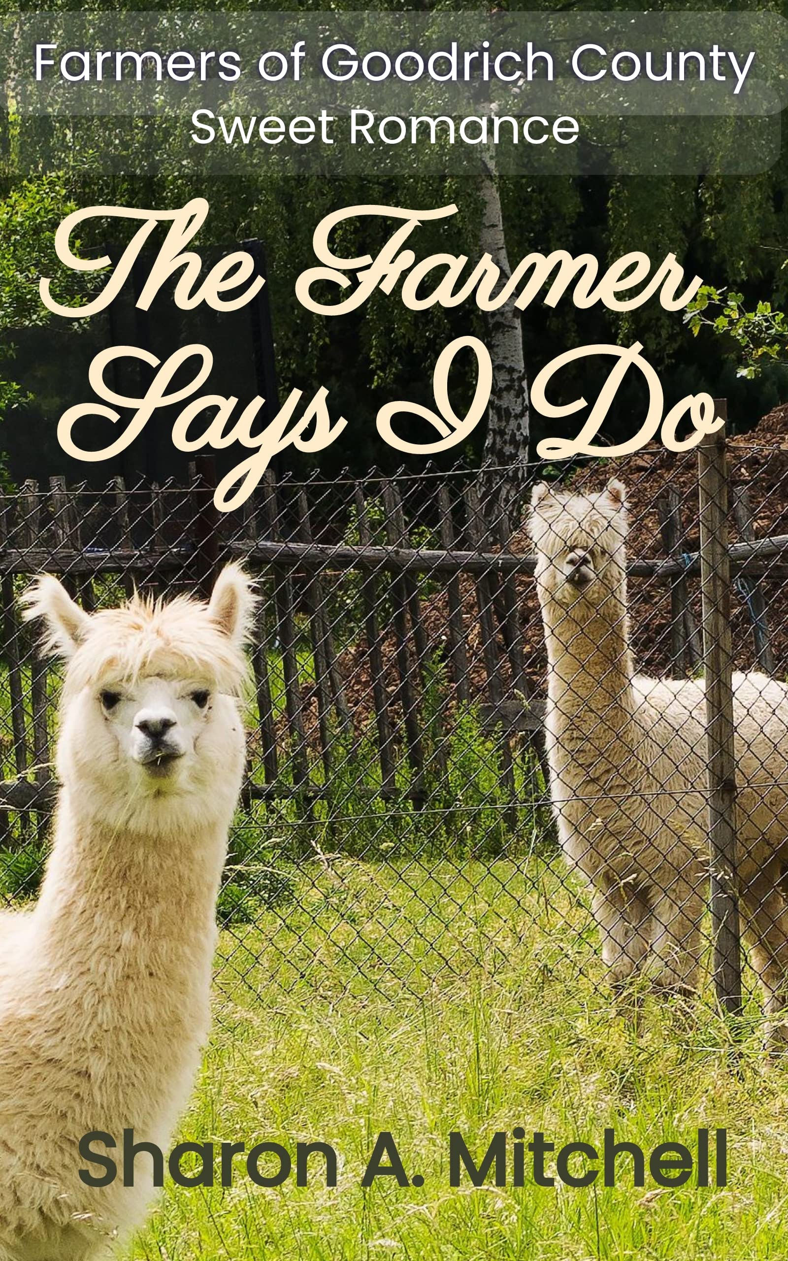 Farmers of Goodrich County book cover 2
