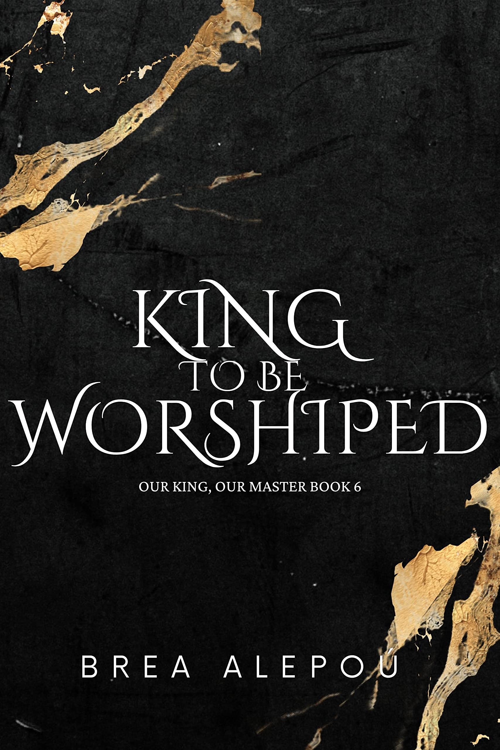 A King to be Worshiped book cover