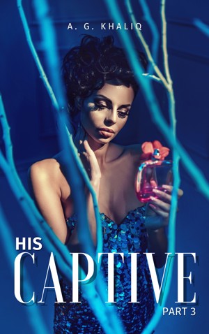 His Captive book cover 3