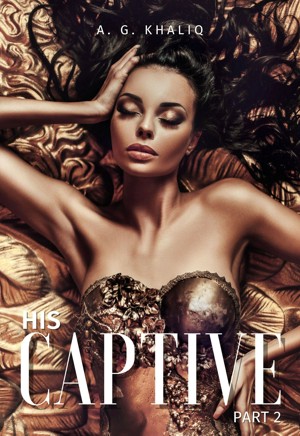 His Captive book cover 2