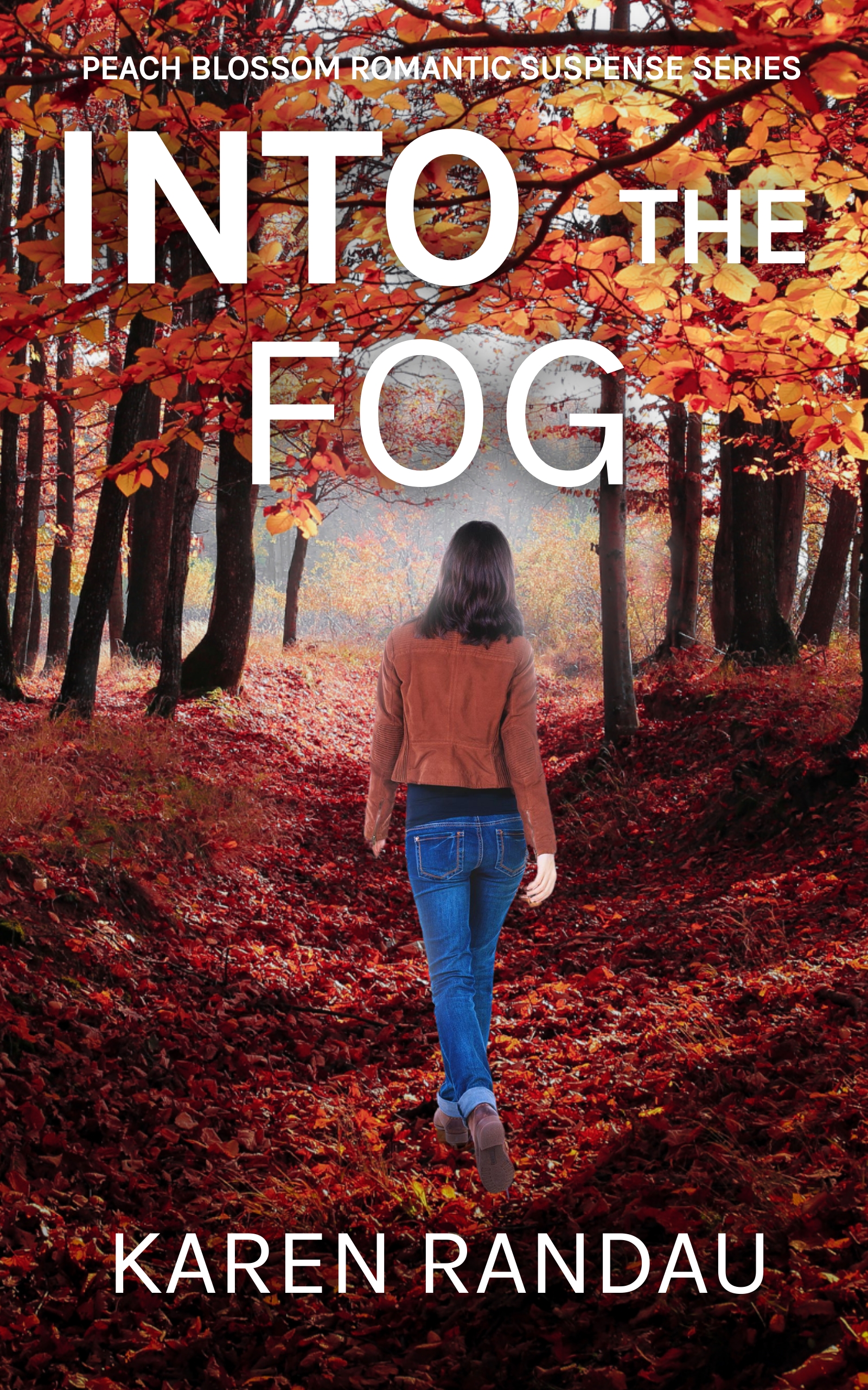 Into the Fog book cover