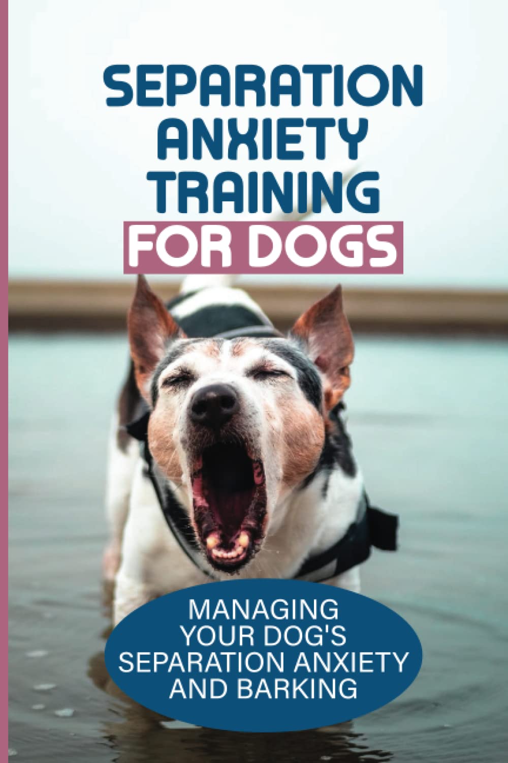 Separation Anxiety Training For Dogs: Managing Your Dog'S Separation ...