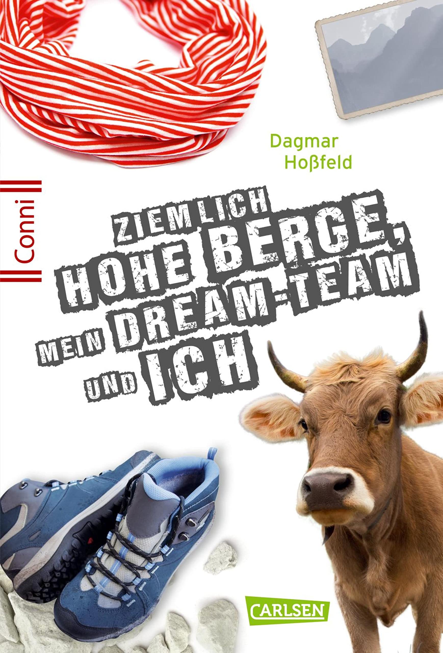 Ziemlich hohe Berge, mein Dream-Team und ich book cover