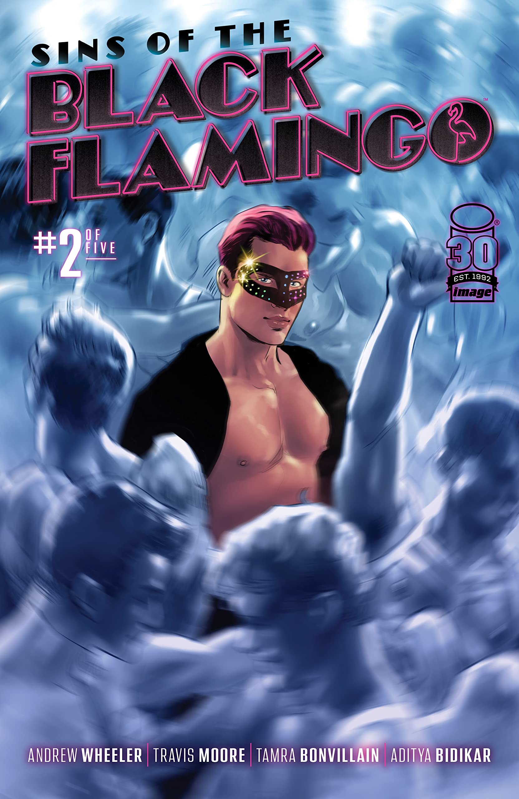 Sins of the Black Flamingo #2 book cover