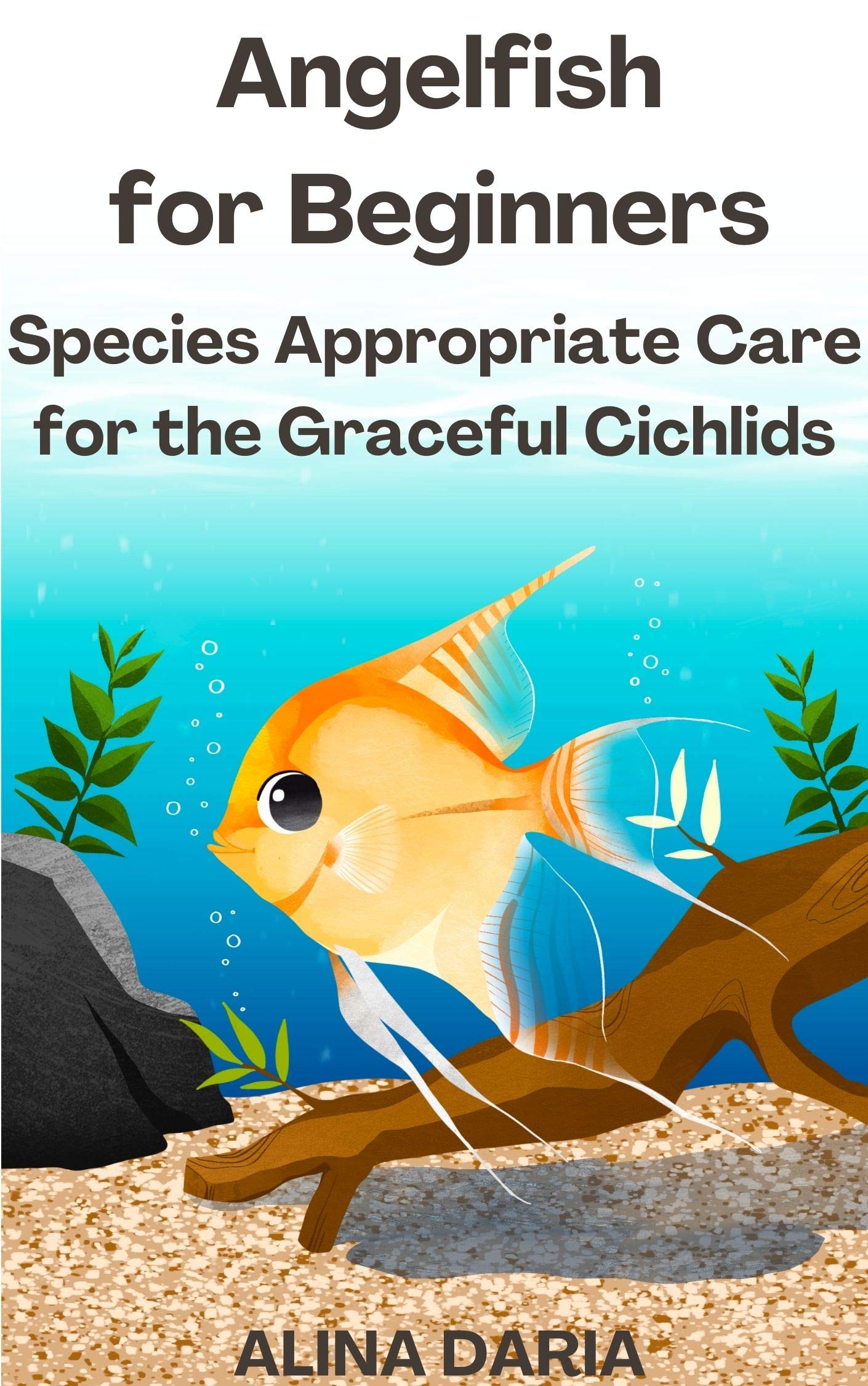 Angelfish for Beginners – Species Appropriate Care for the Graceful ...
