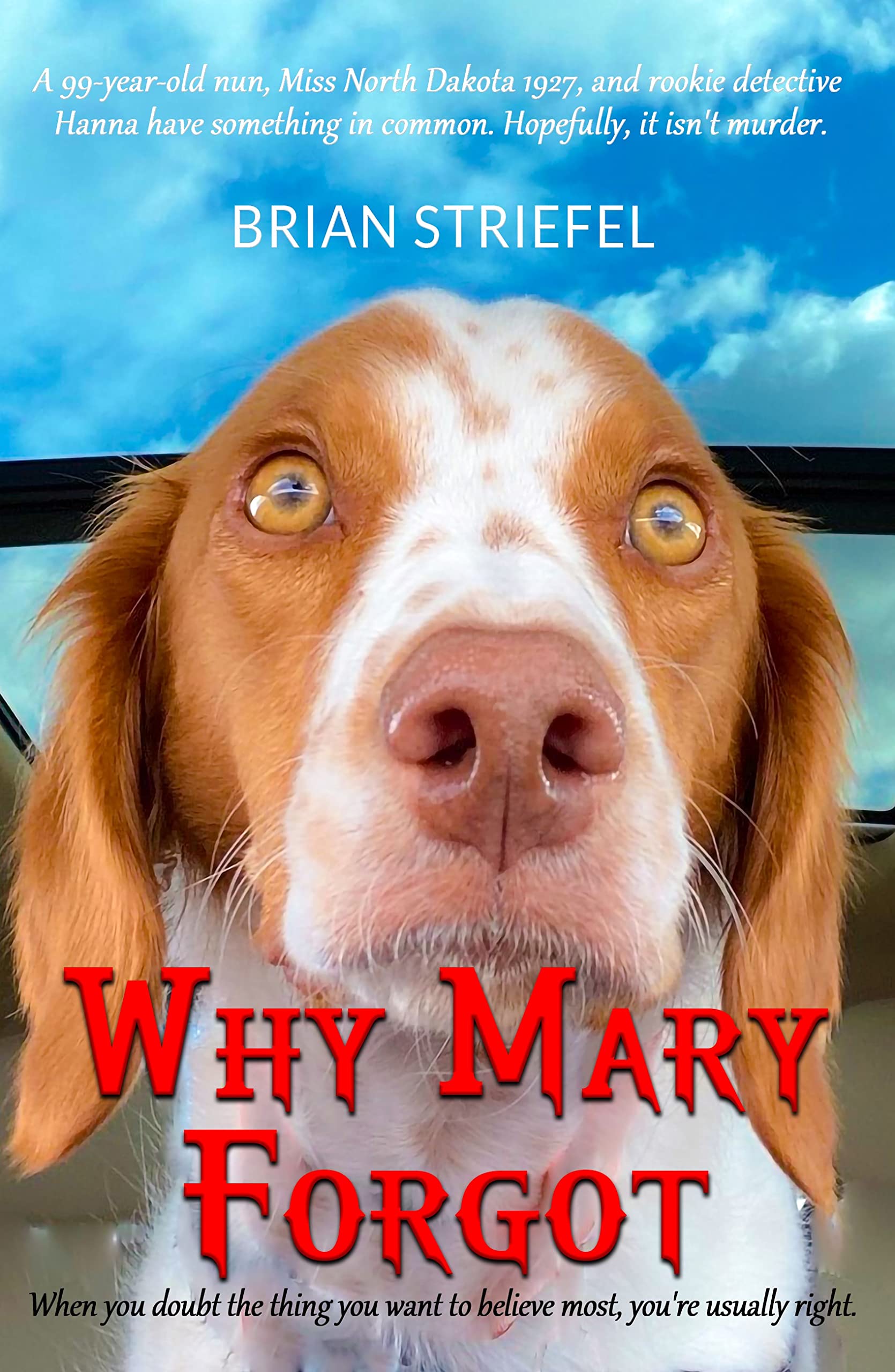 Why Mary by Brian Striefel Goodreads
