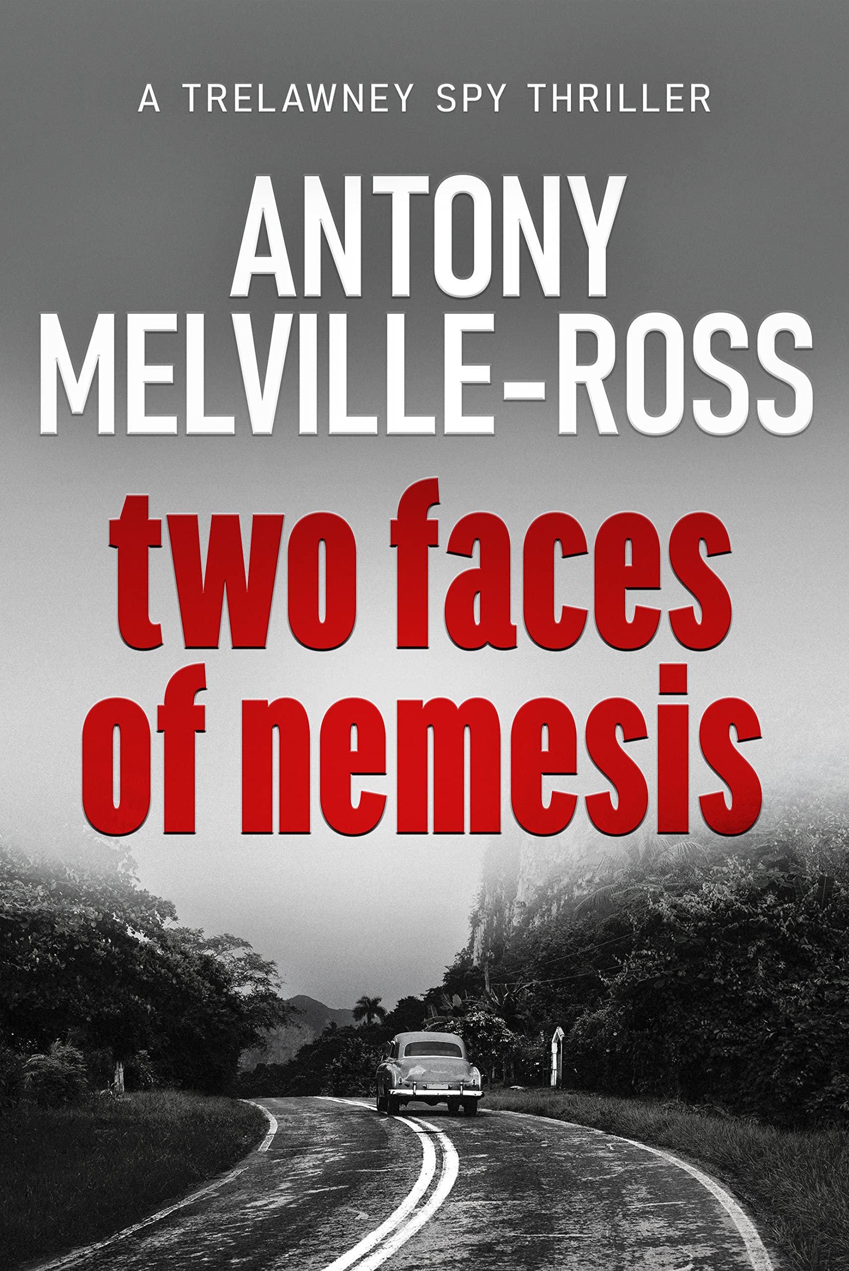 Two Faces of Nemesis