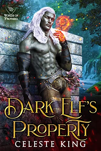 Dark Elf's Property book cover