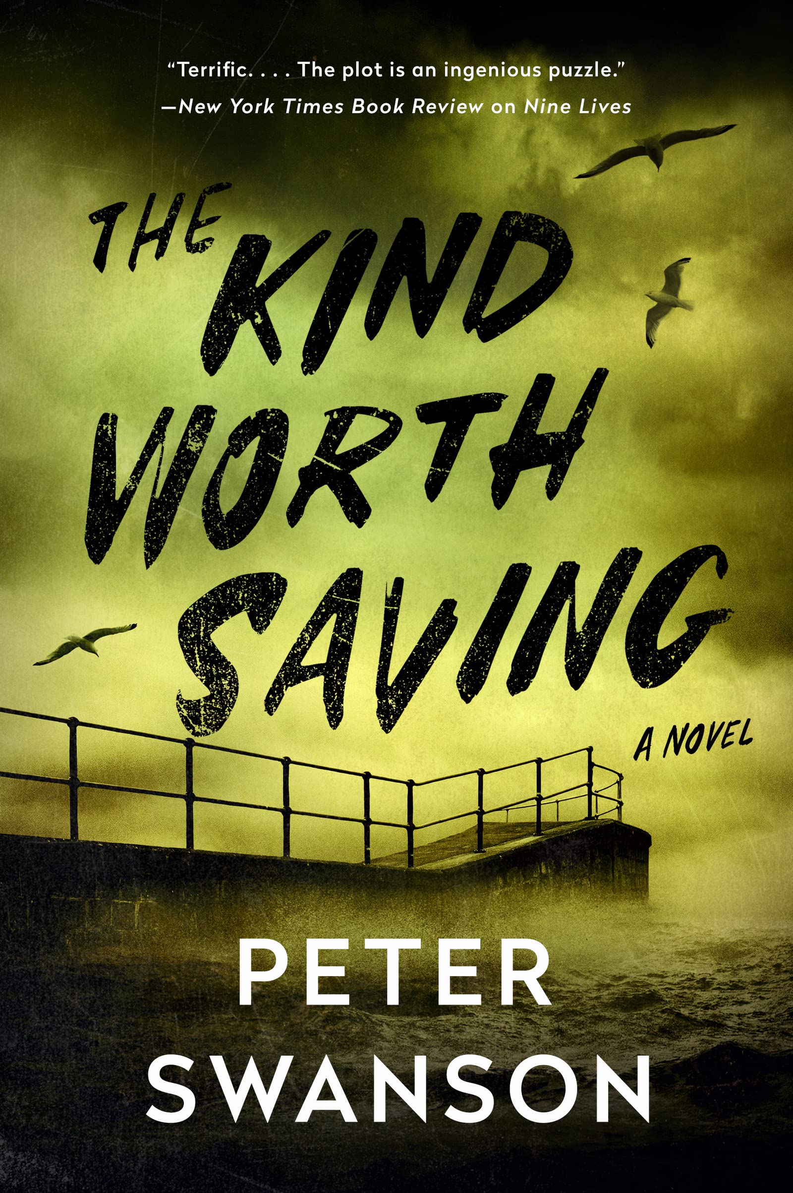 The Kind Worth Saving (Henry Kimball/Lily Kintner, #2)