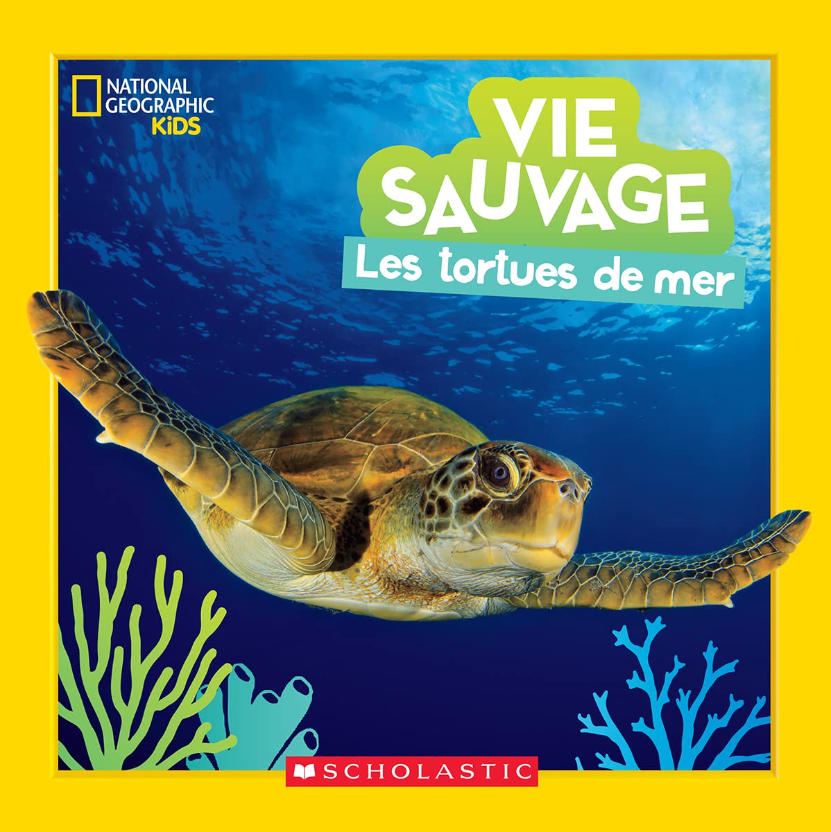 National Geographic Kids Vie Sauvage Les Tortues de Mer by Jill